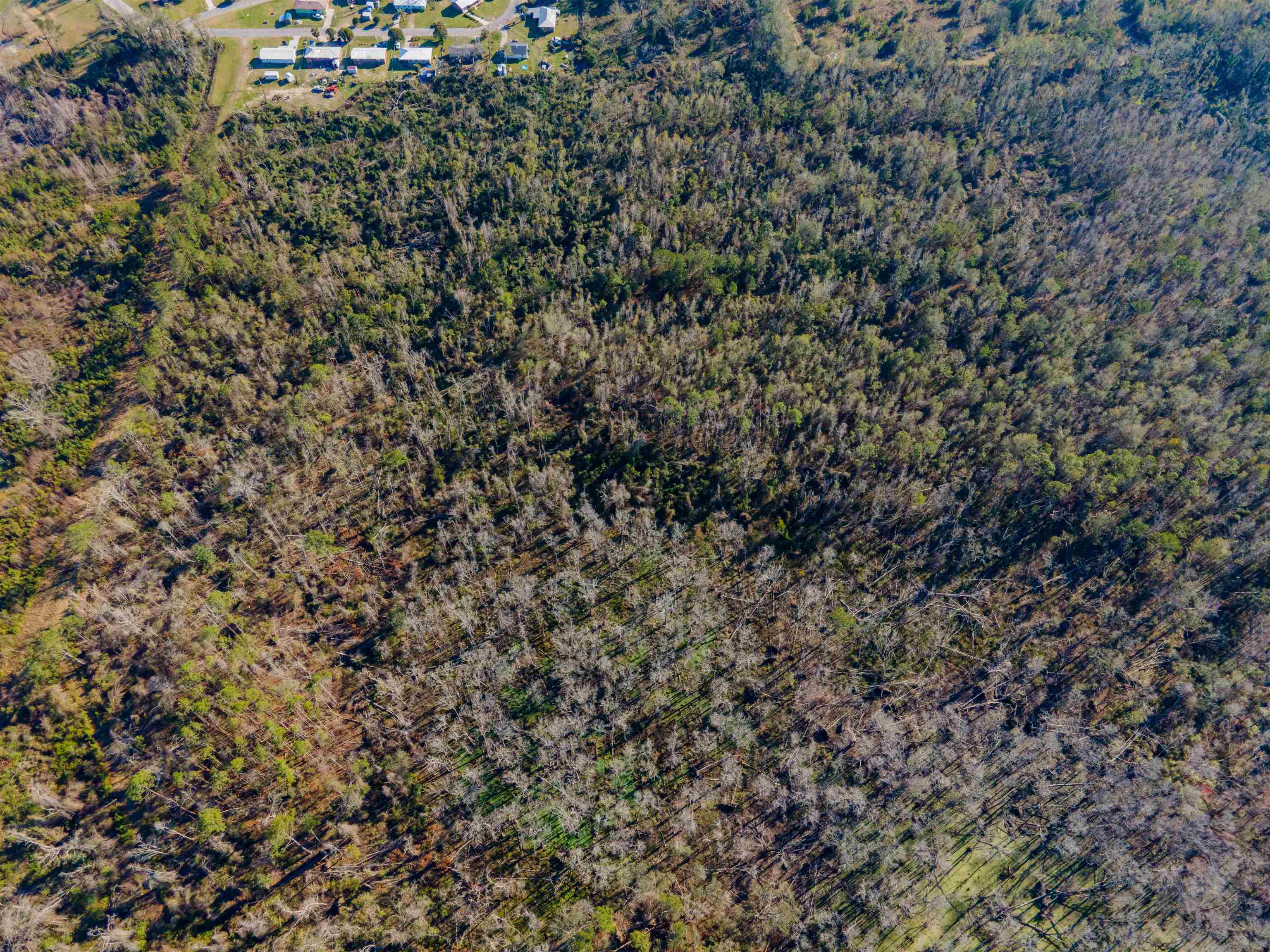 Vacant SE Jeanette Circle, Madison, Florida image 5