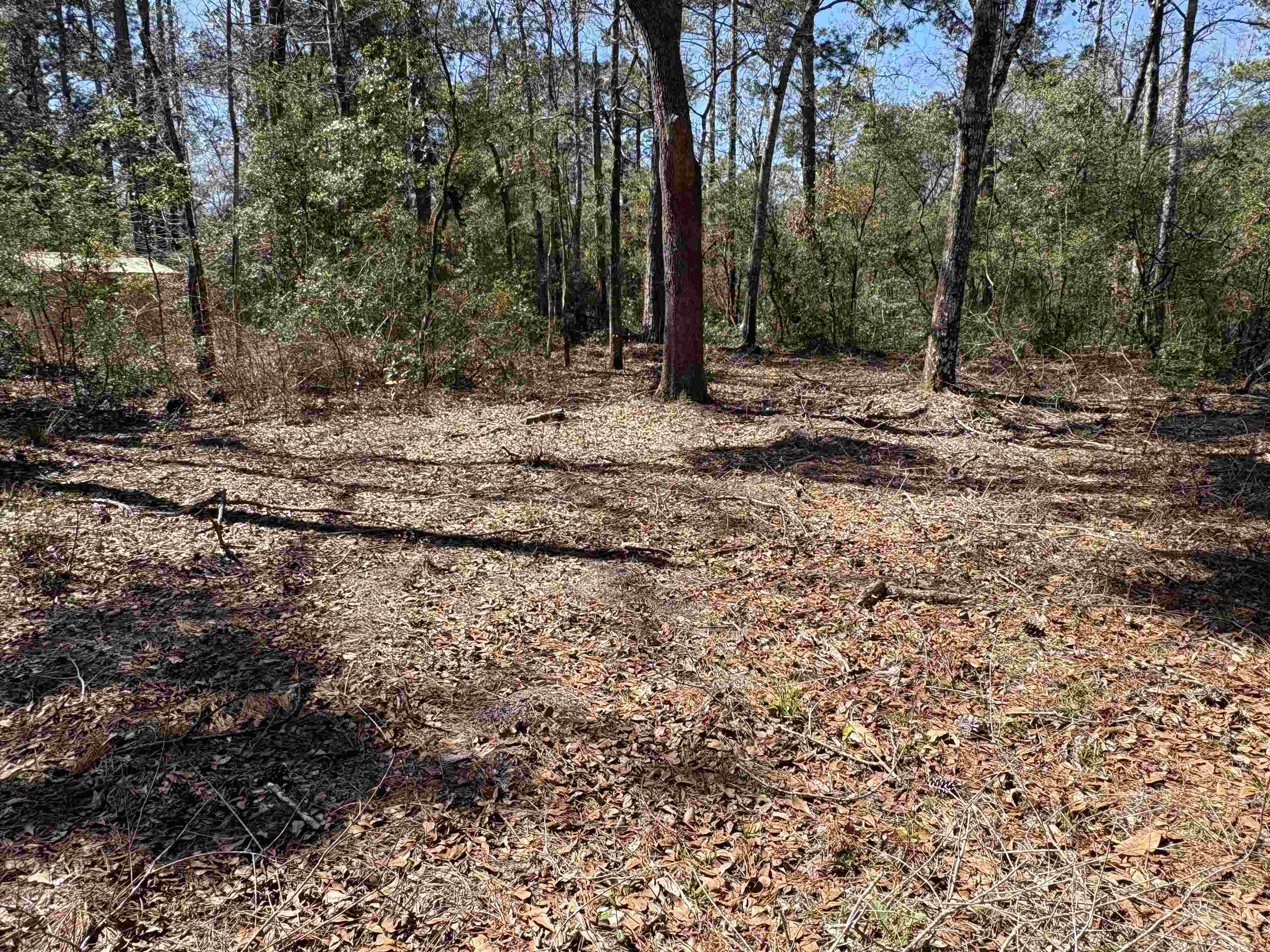 38 Choctaw Road, Crawfordville, Florida image 1