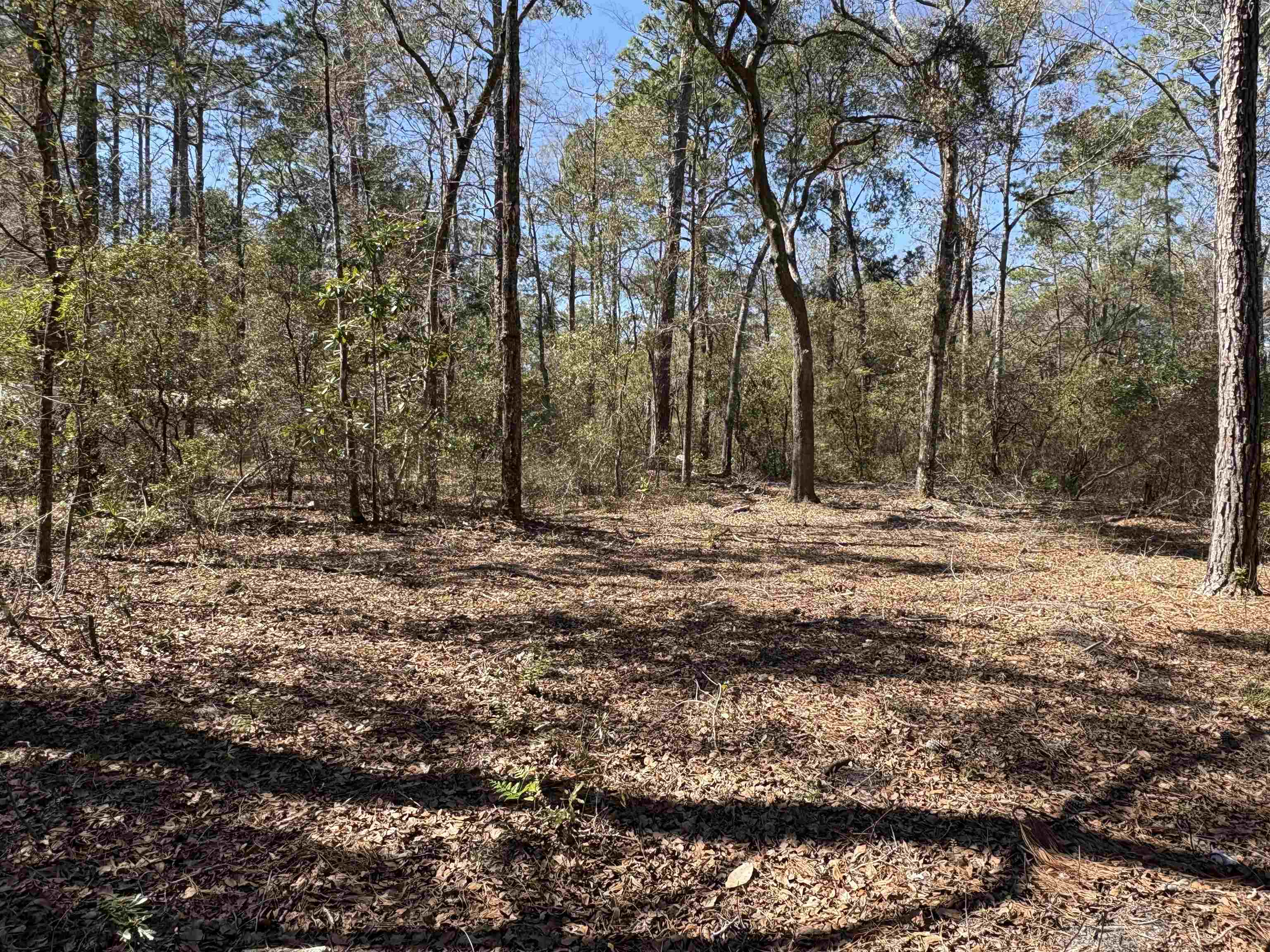 38 Choctaw Road, Crawfordville, Florida image 2