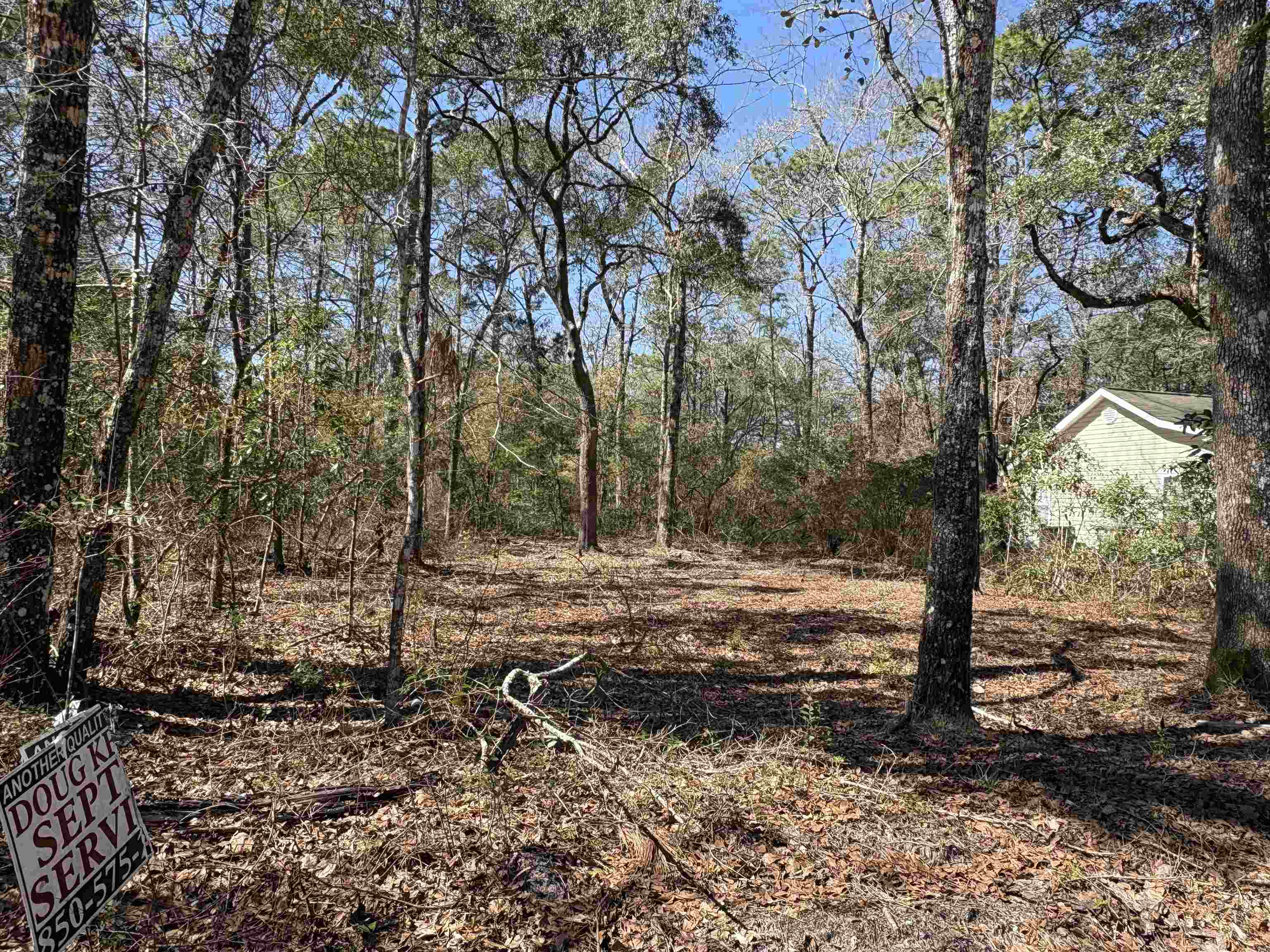 38 Choctaw Road, Crawfordville, Florida image 3