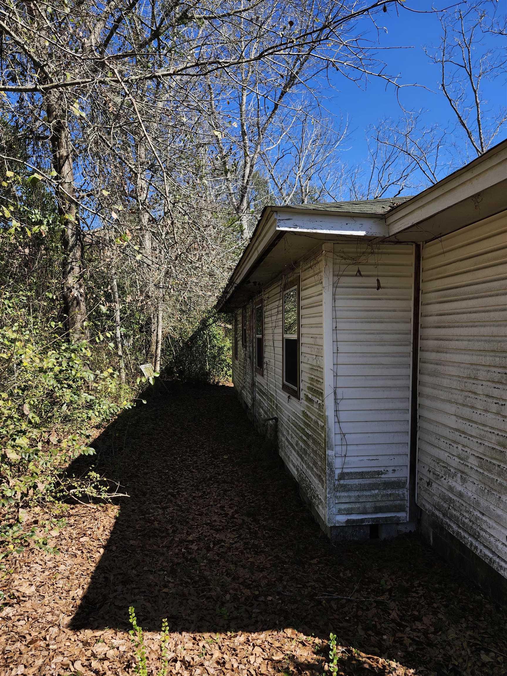 315 SE 1st Street, Havana, Florida image 2
