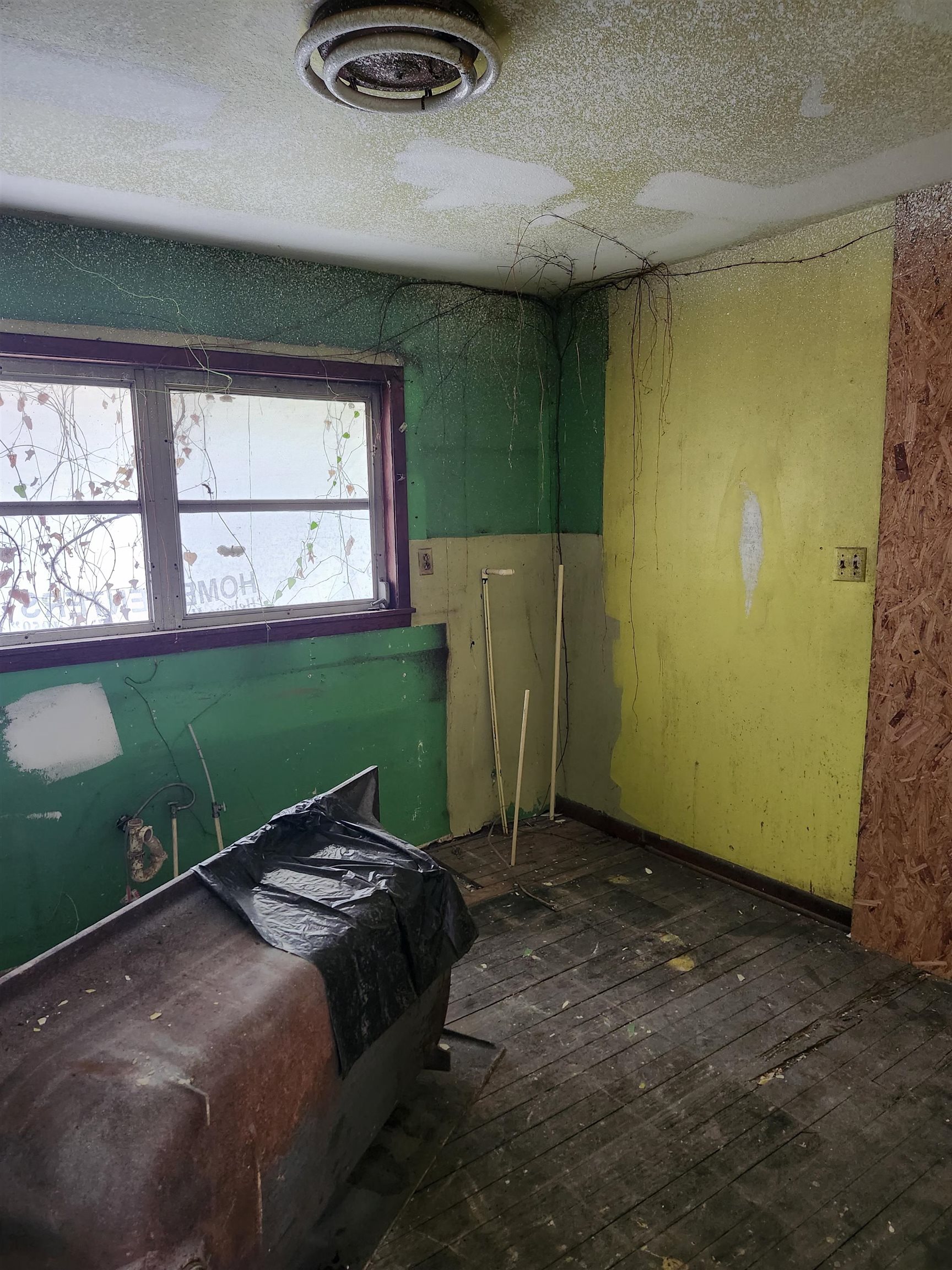 315 SE 1st Street, Havana, Florida image 9