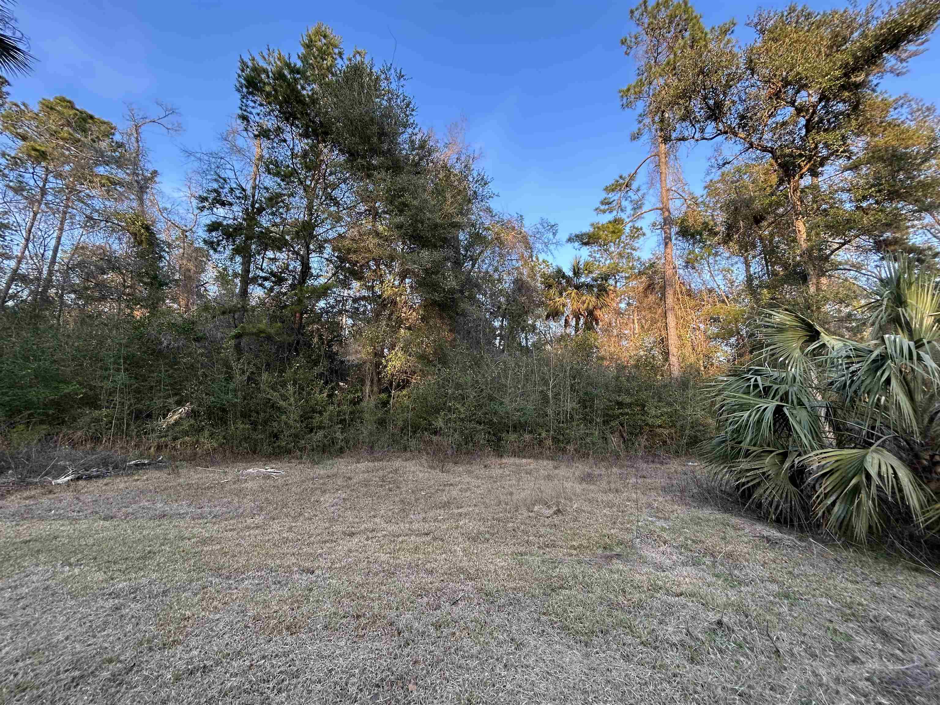 92 Herring Circle, Crawfordville, Florida image 19
