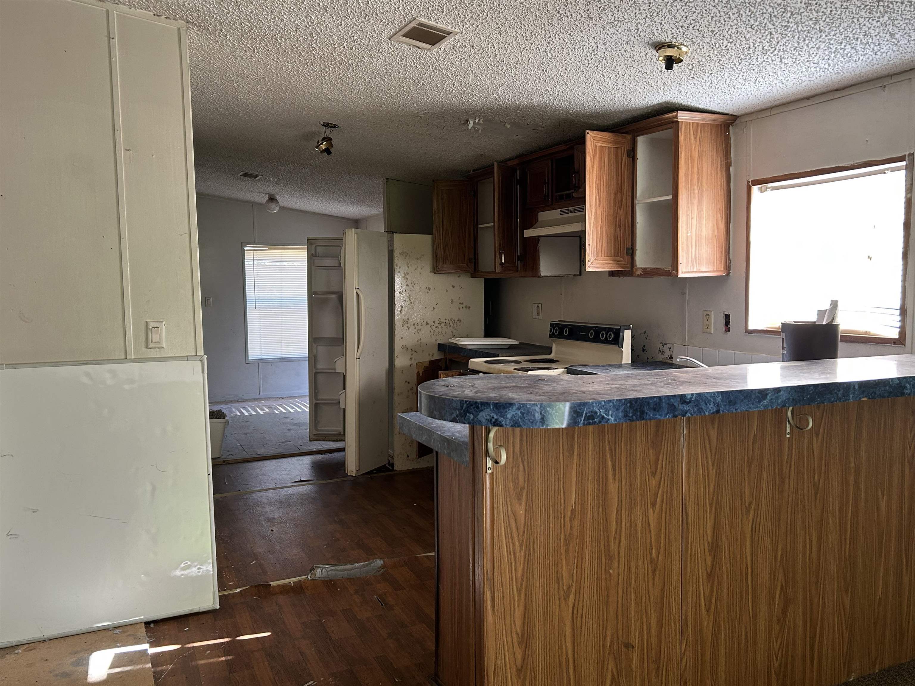 92 Herring Circle, Crawfordville, Florida image 3