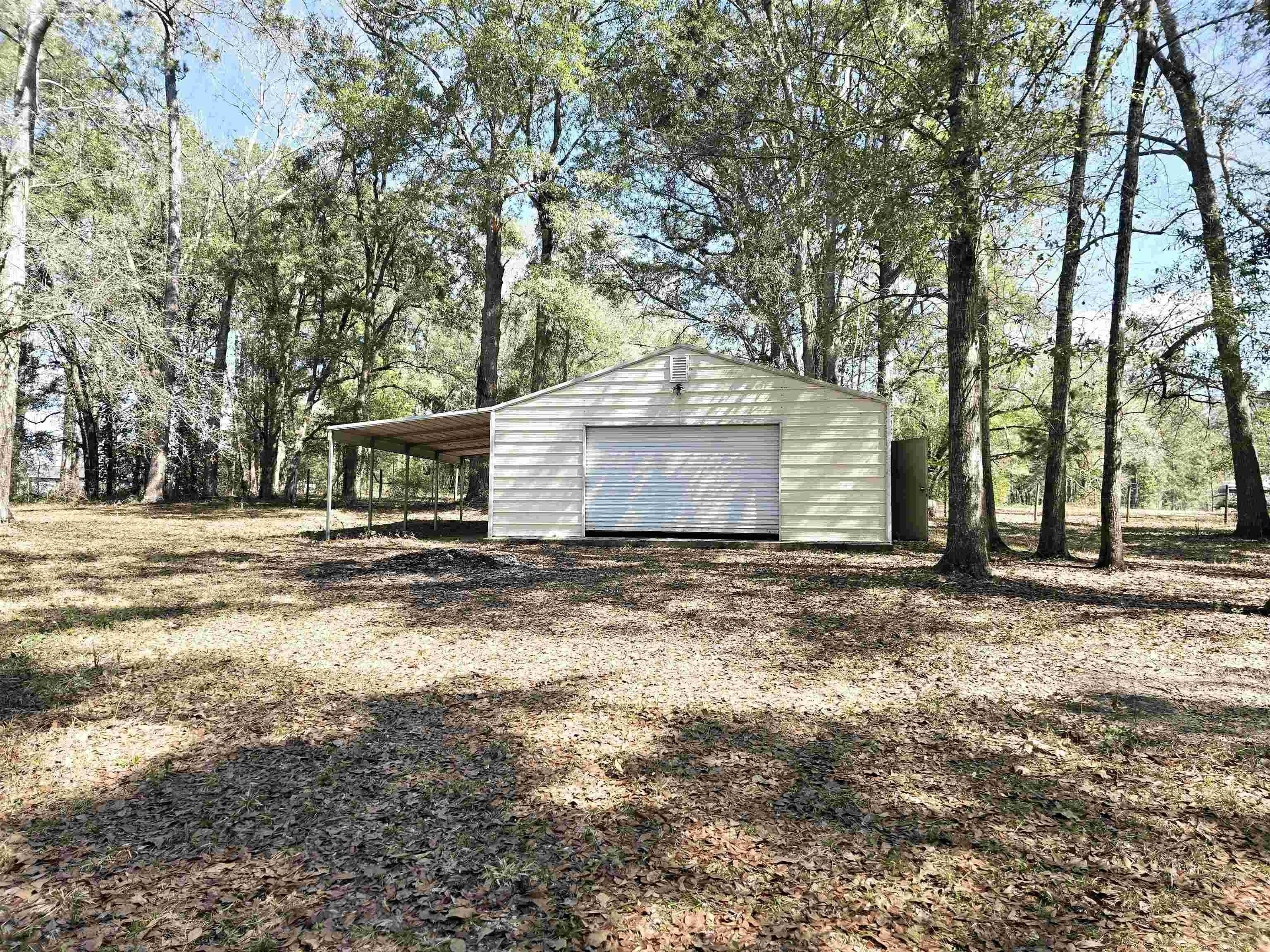370 Mathis Drive, Havana, Florida image 12