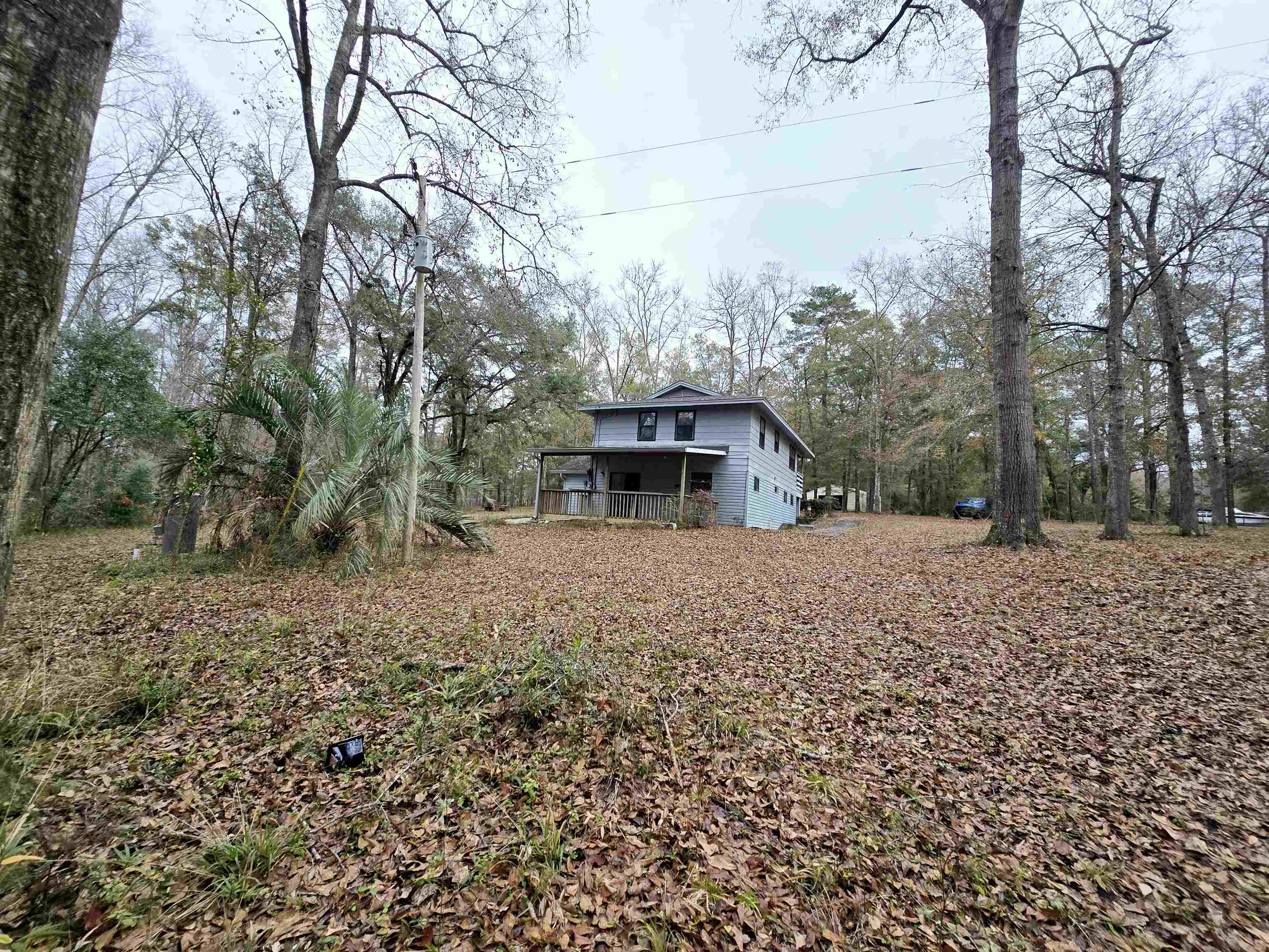370 Mathis Drive, Havana, Florida image 3