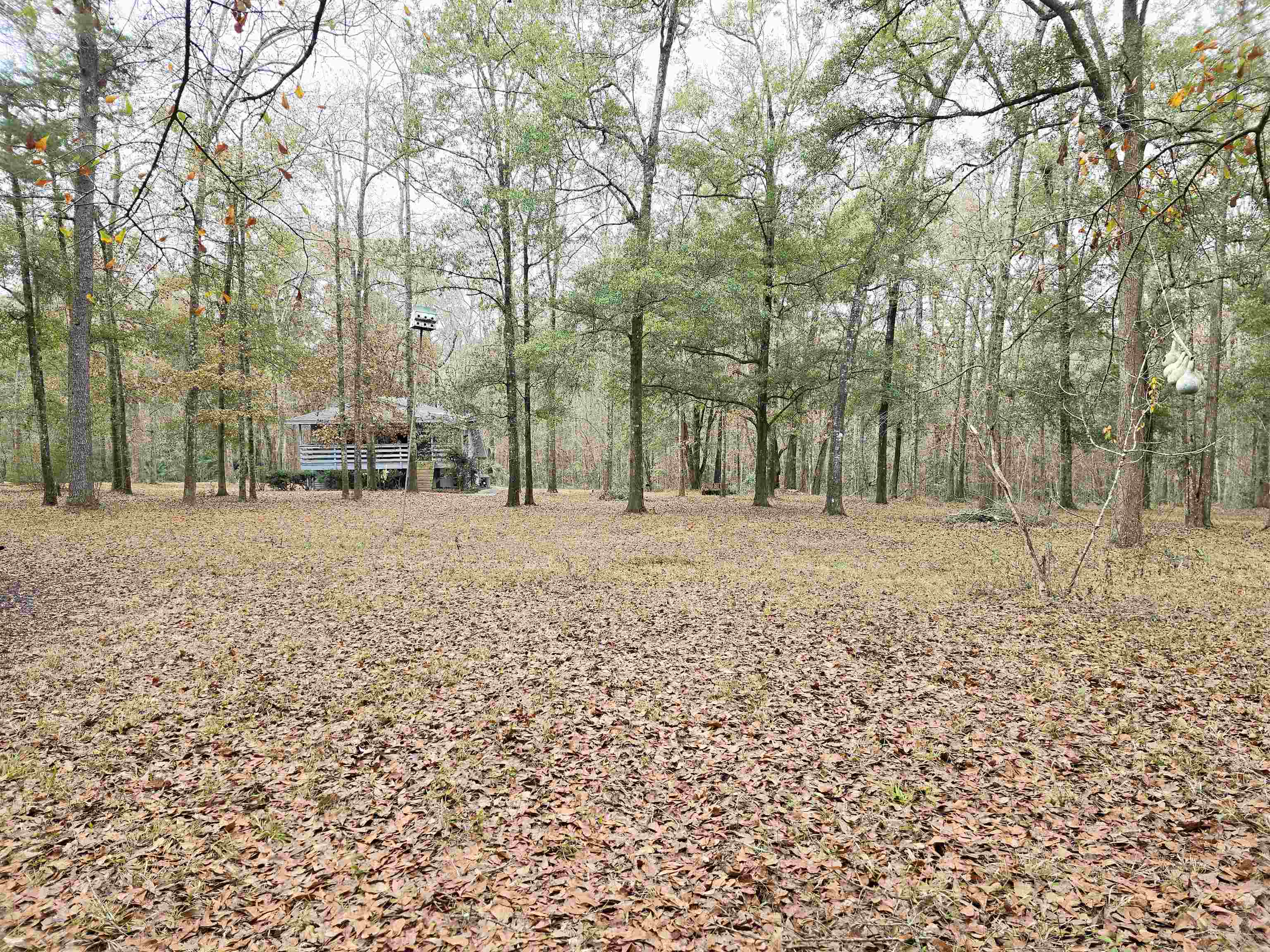 370 Mathis Drive, Havana, Florida image 6