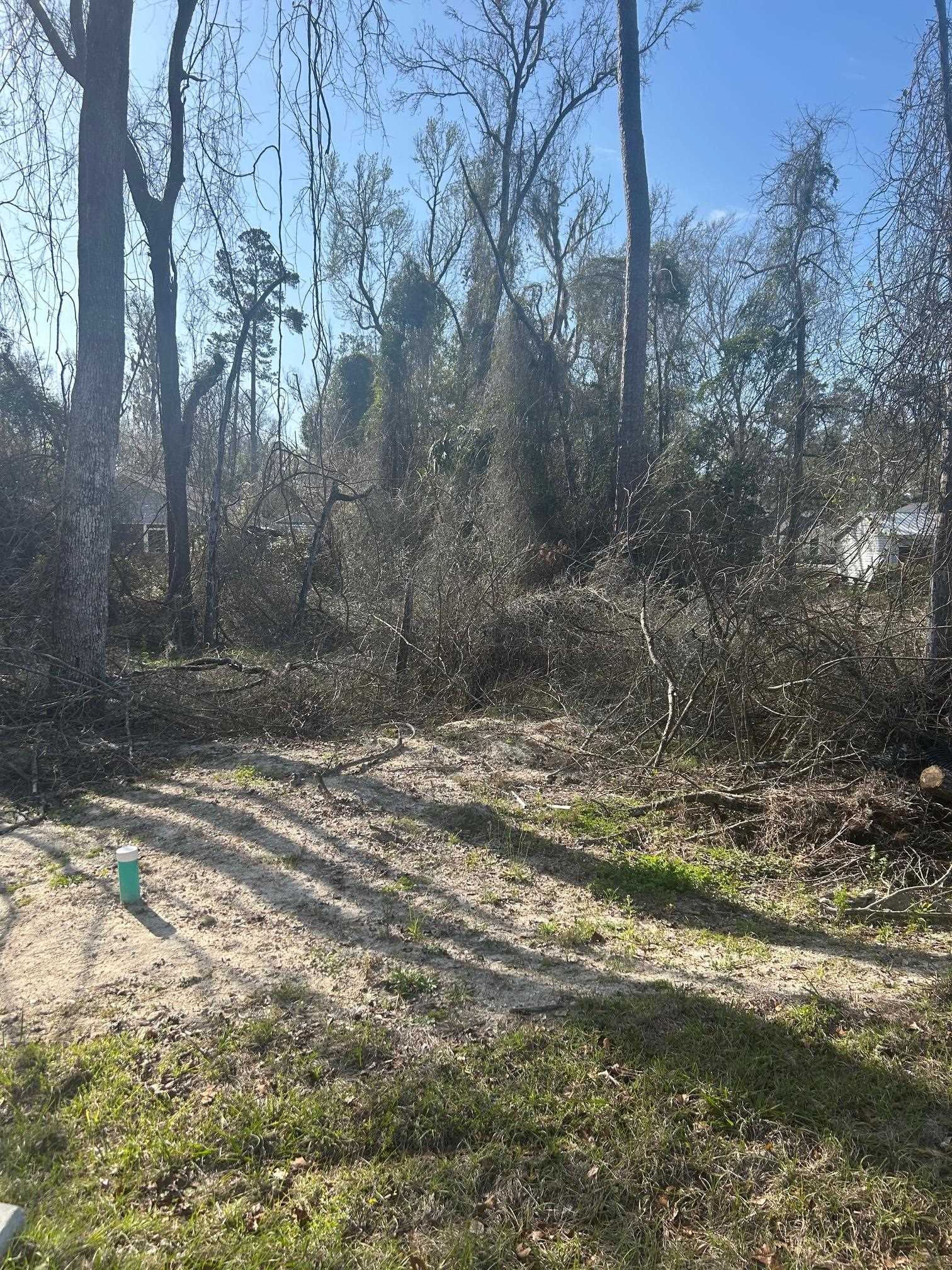TBD Shawnee, Crawfordville, Florida image 1