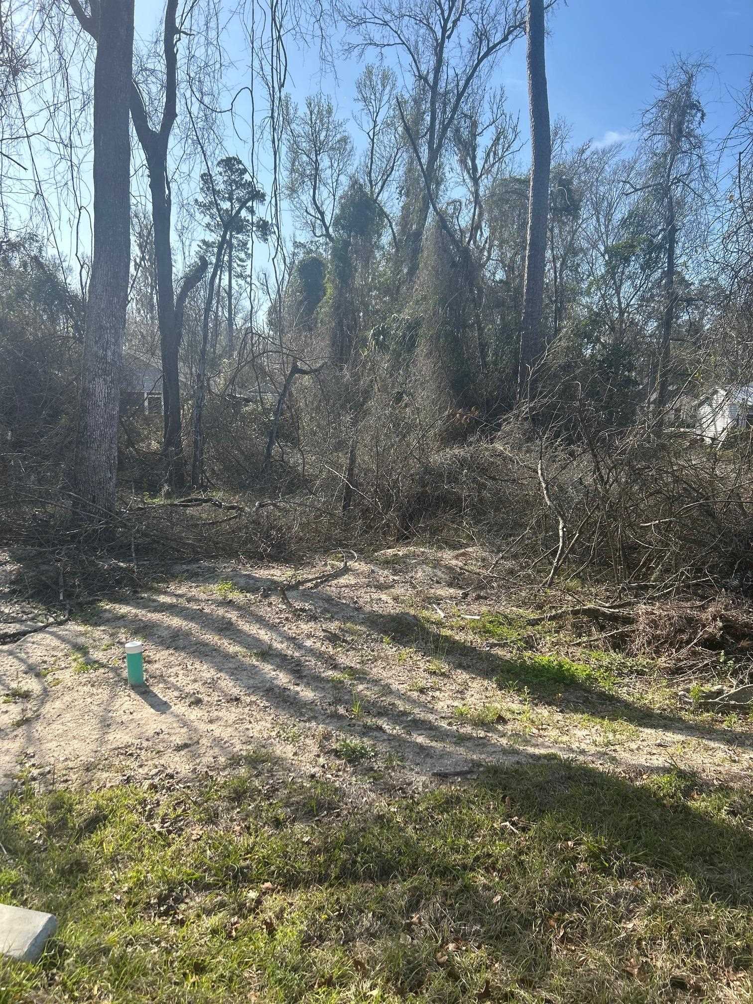 TBD Shawnee, Crawfordville, Florida image 2