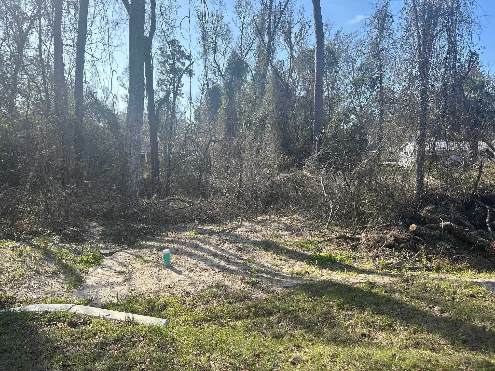 TBD Shawnee, Crawfordville, Florida image 3