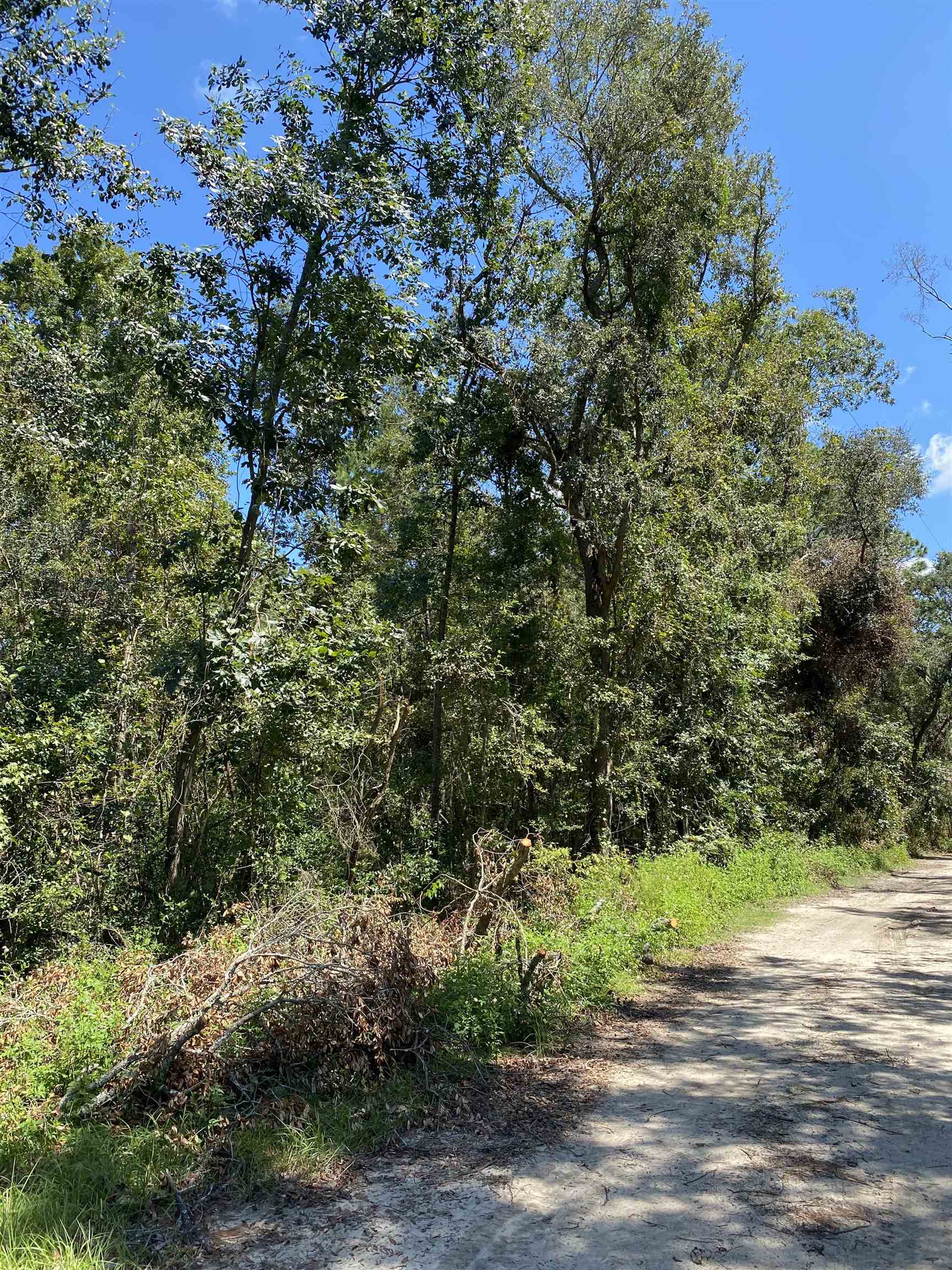 Vacant NE Withlacoochee Shores Lane, Lee, Florida image 2