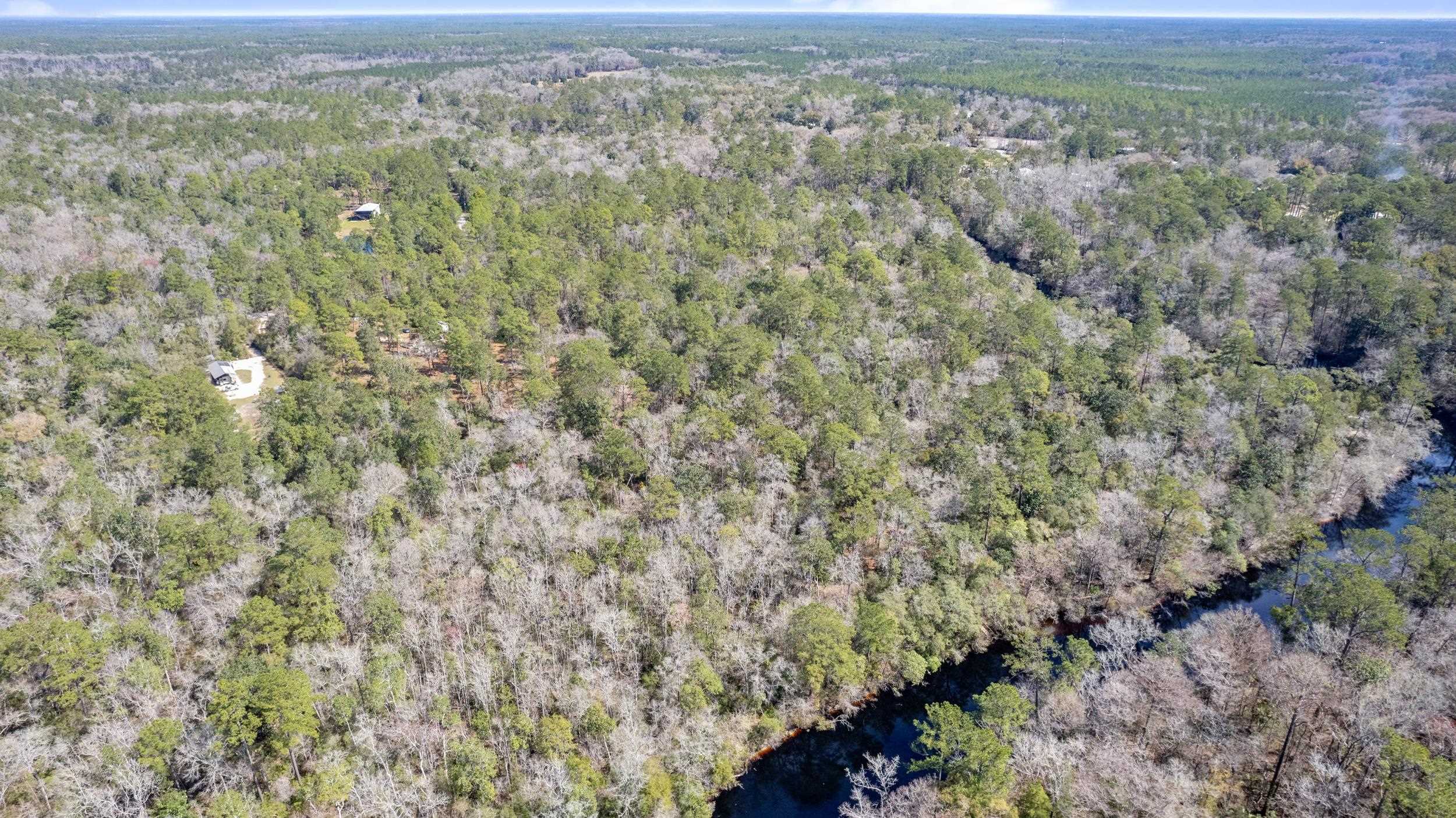 Seminole Lane, Sopchoppy, Florida image 13