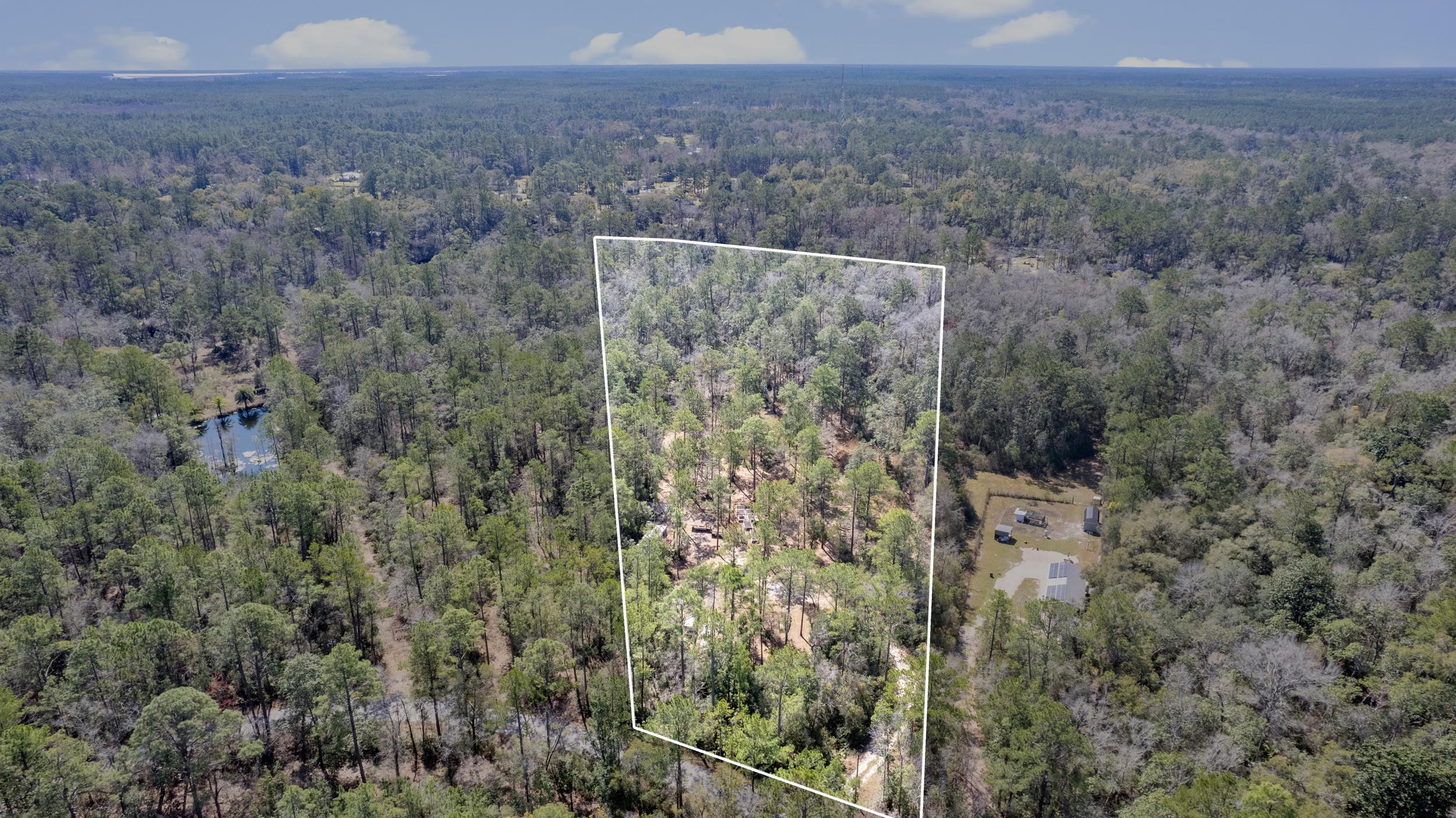 Seminole Lane, Sopchoppy, Florida image 14