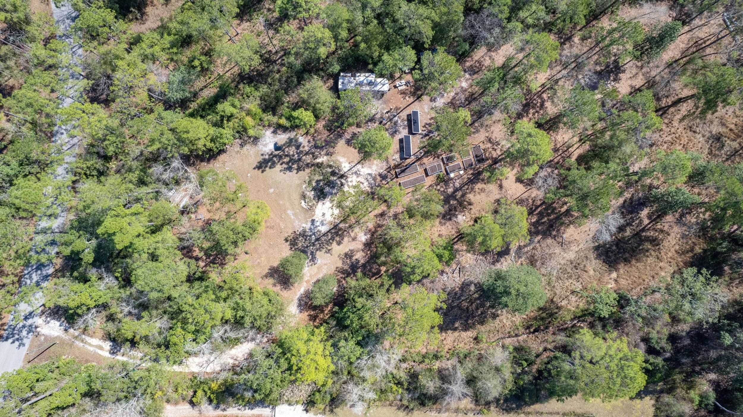 Seminole Lane, Sopchoppy, Florida image 15