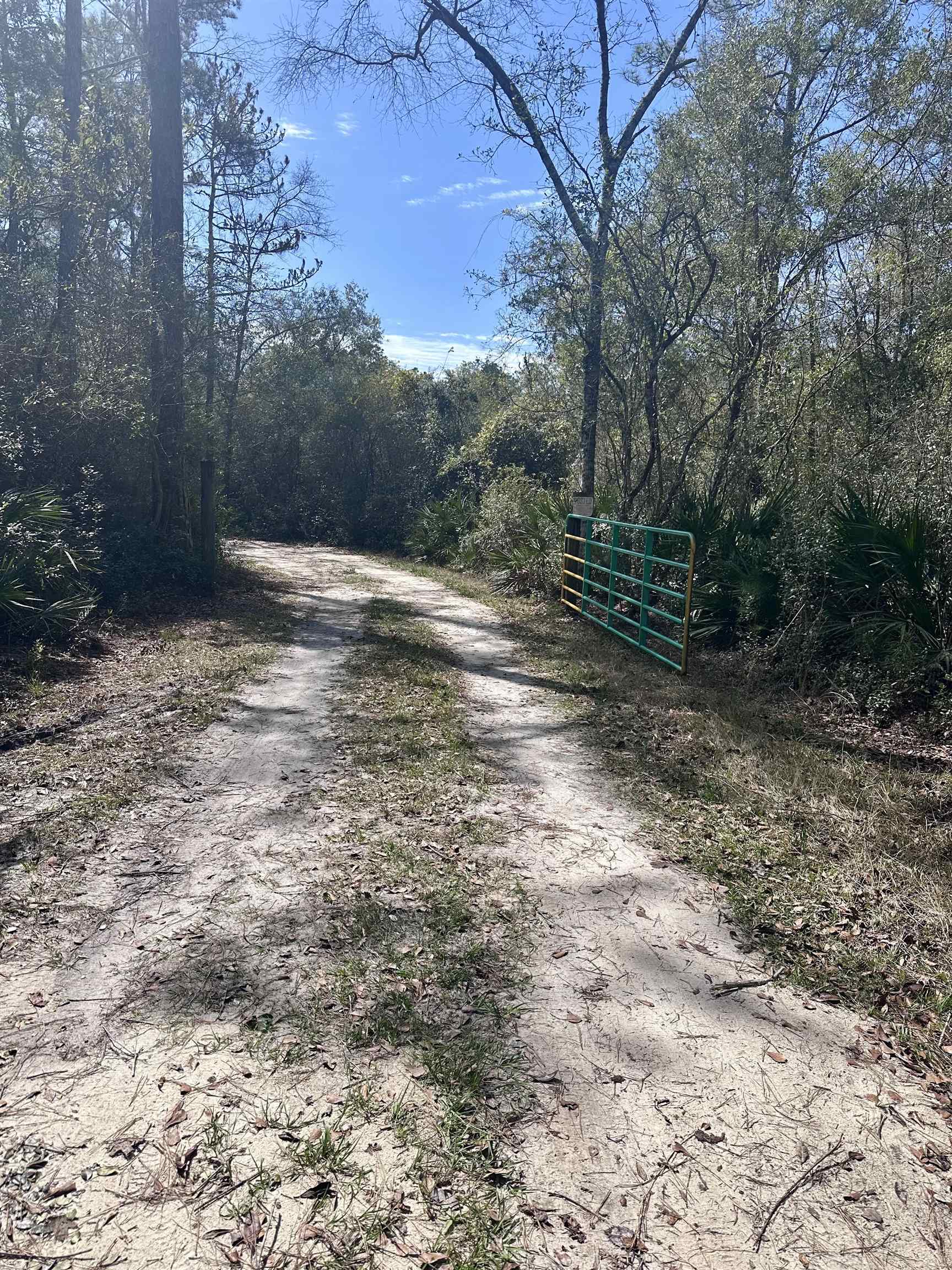 Seminole Lane, Sopchoppy, Florida image 6