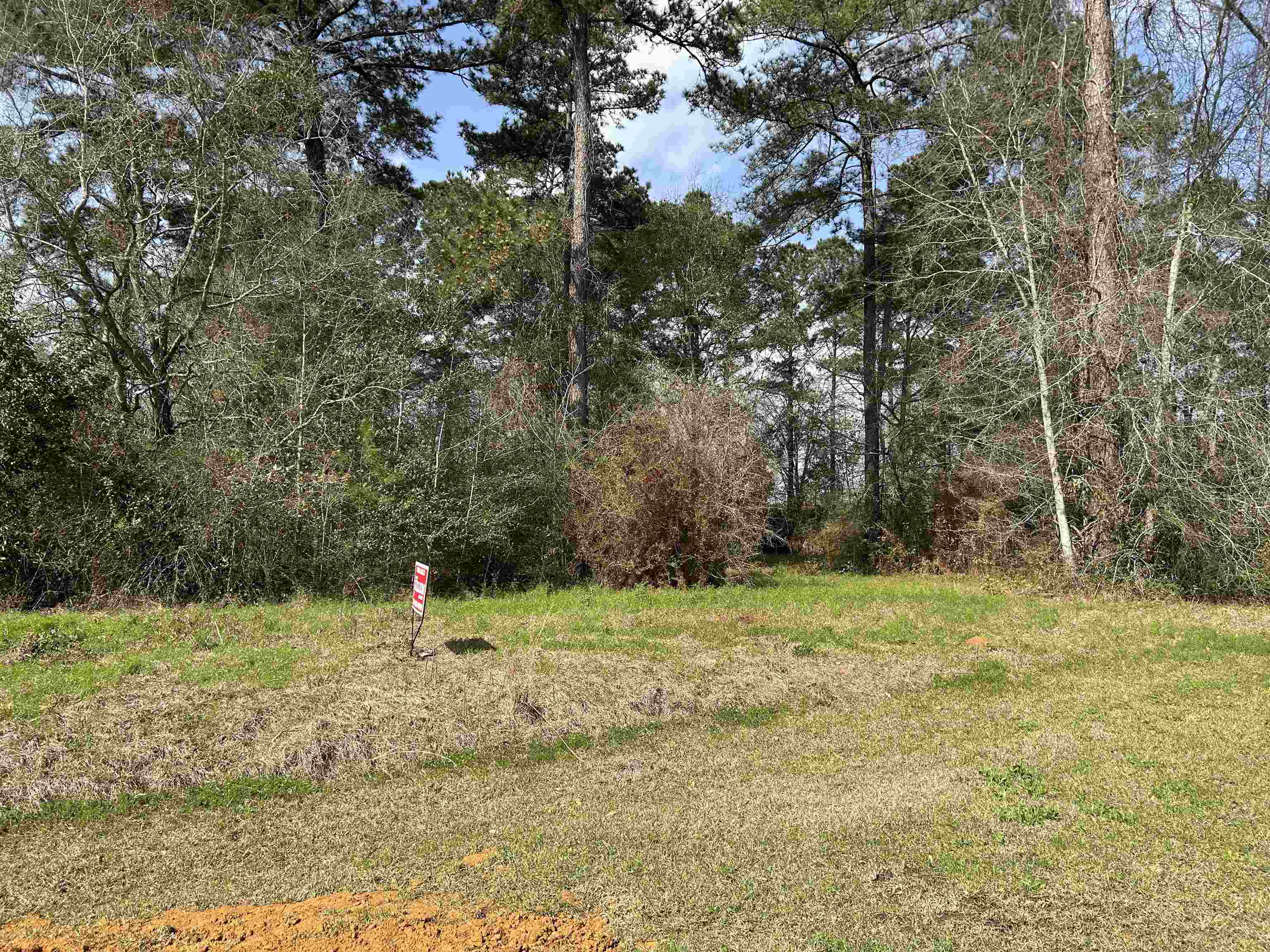 135 Dove Court, Havana, Florida image 1