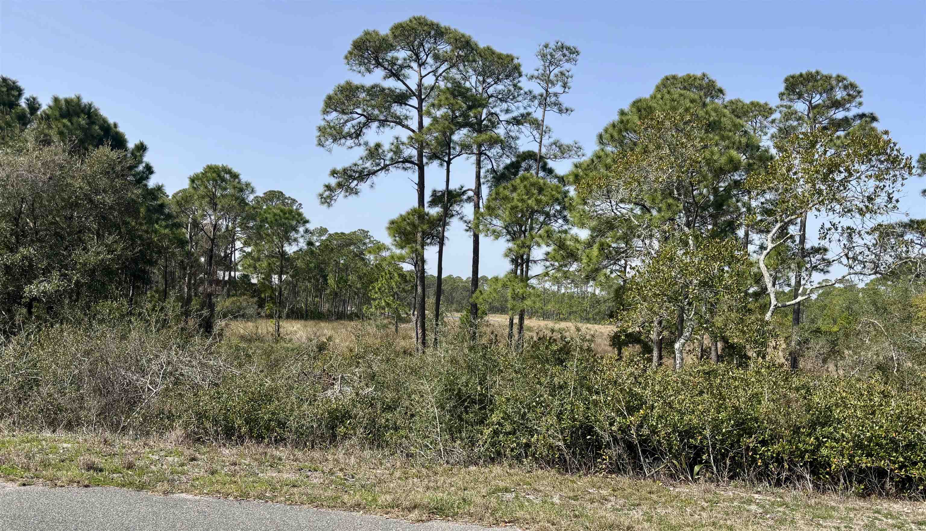 643 & 647 Bald Point Road, Alligator Point, Florida image 1