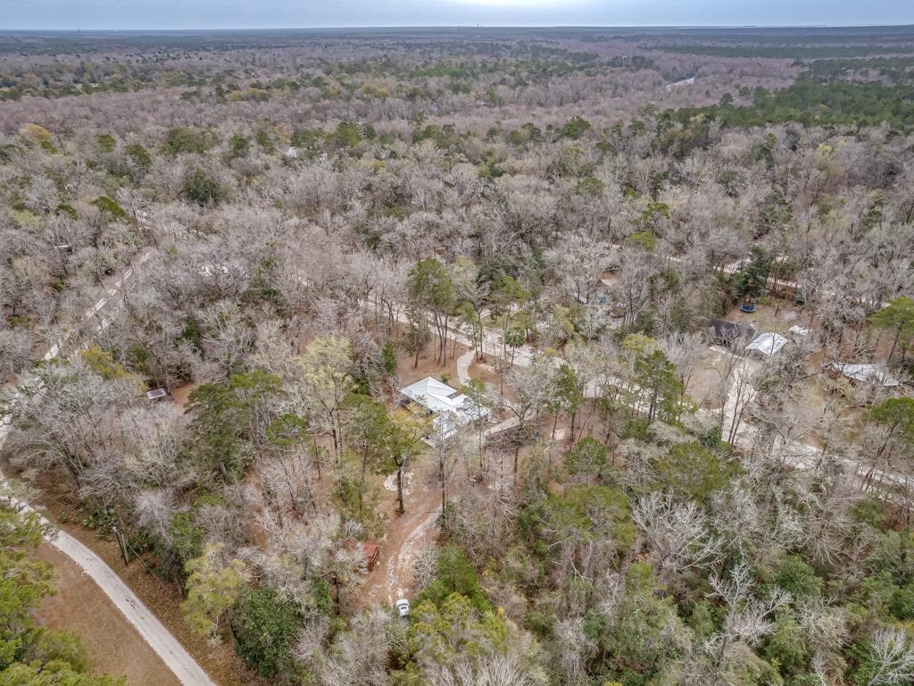 72 Mysterious Waters Road, Crawfordville, Florida image 13