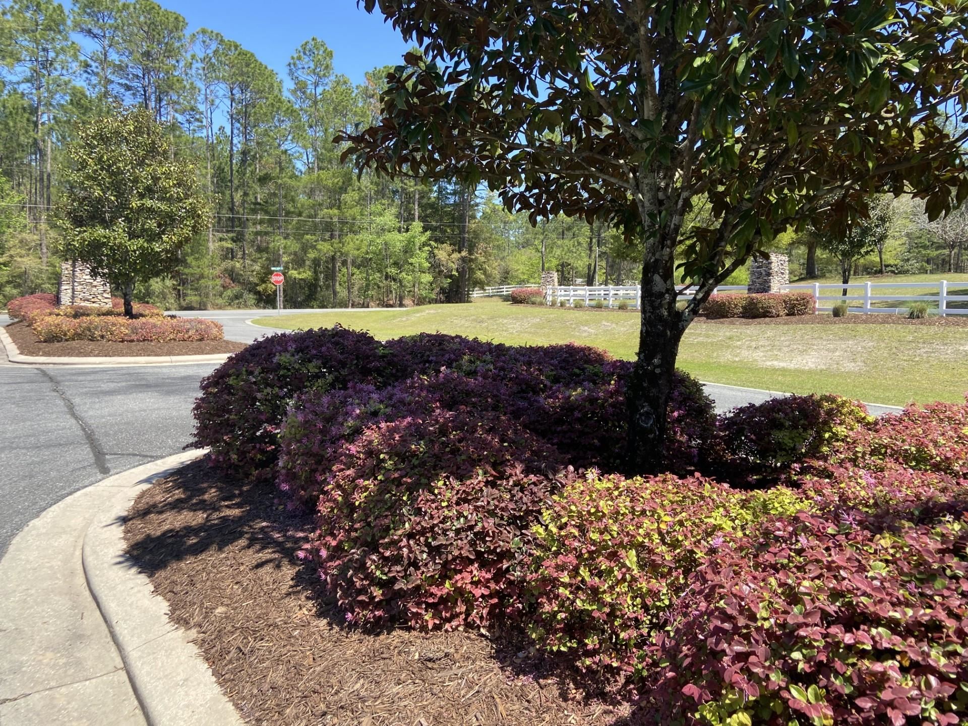 12H Hidden Horse Way, Tallahassee, Florida image 6