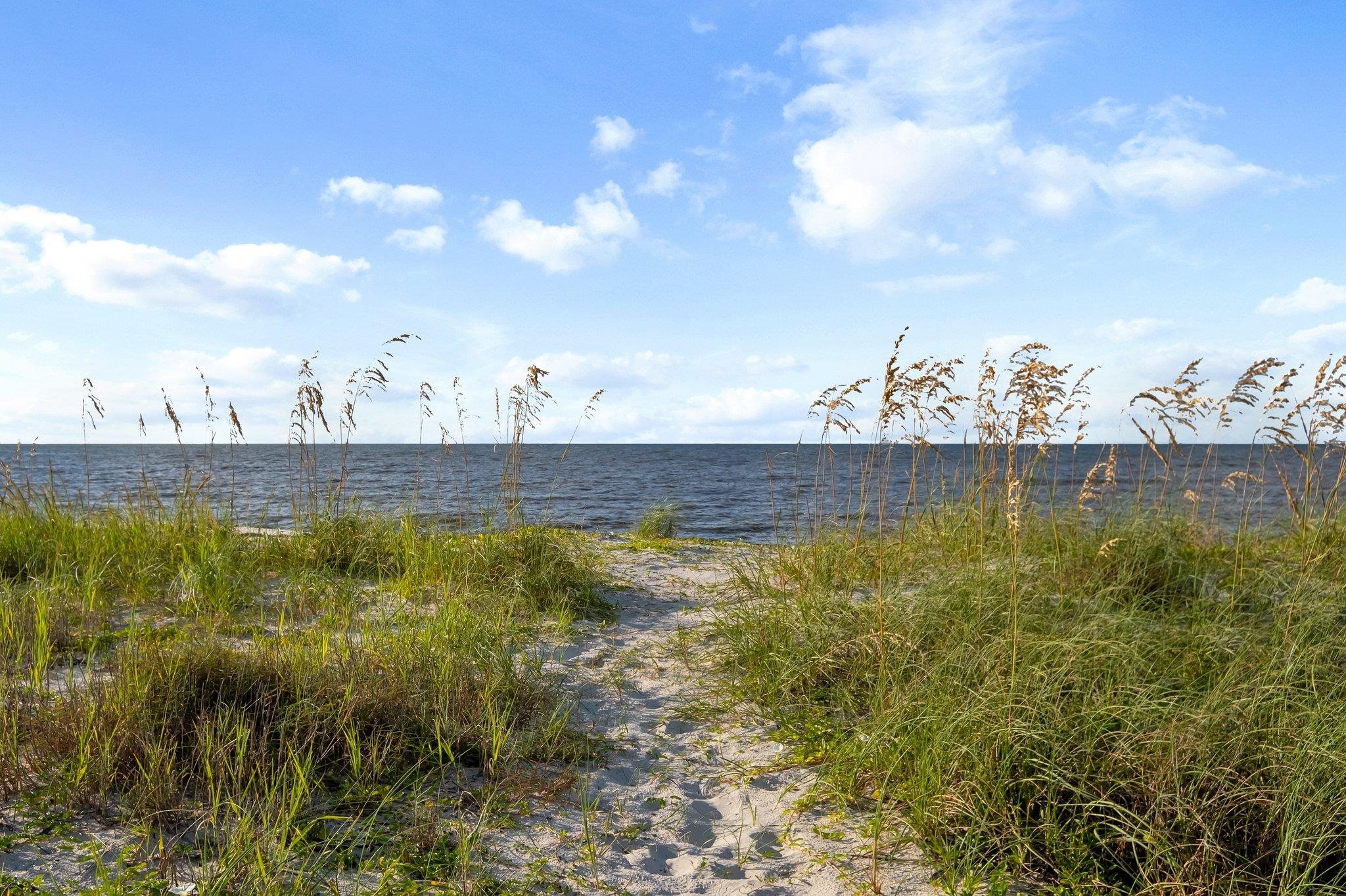 1171 Alligator Drive, Alligator Point, Florida image 40