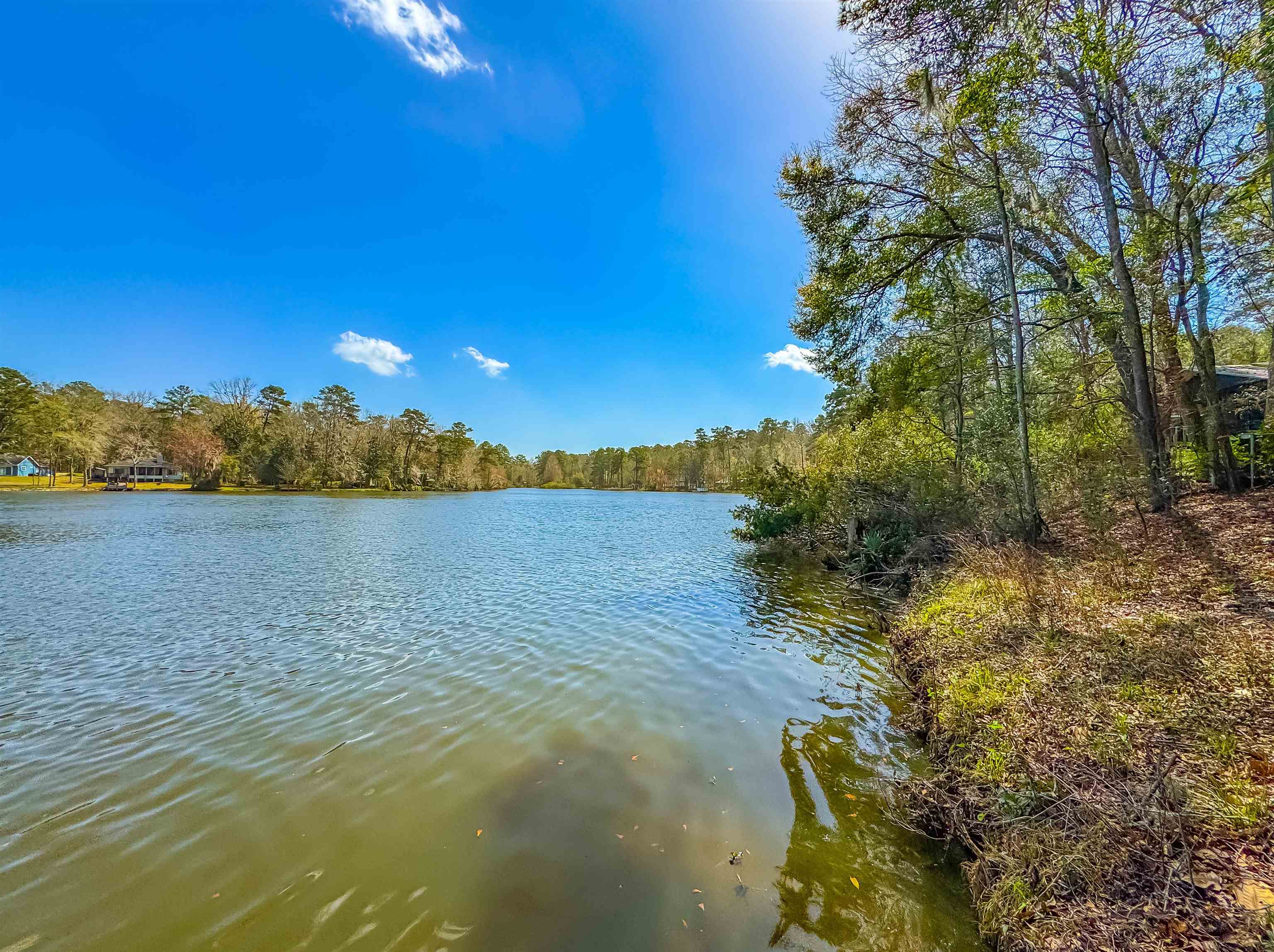 1451 Tallavana Trail, Havana, Florida image 11