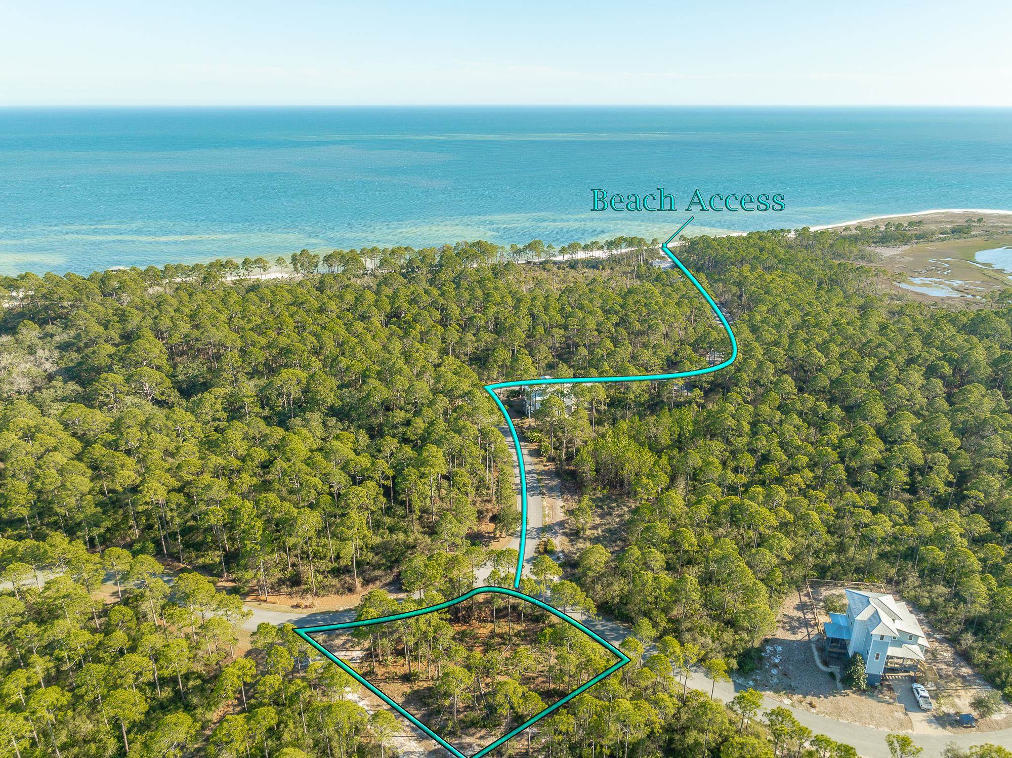 173 Lightining Bug Lane, St Teresa, Florida image 1
