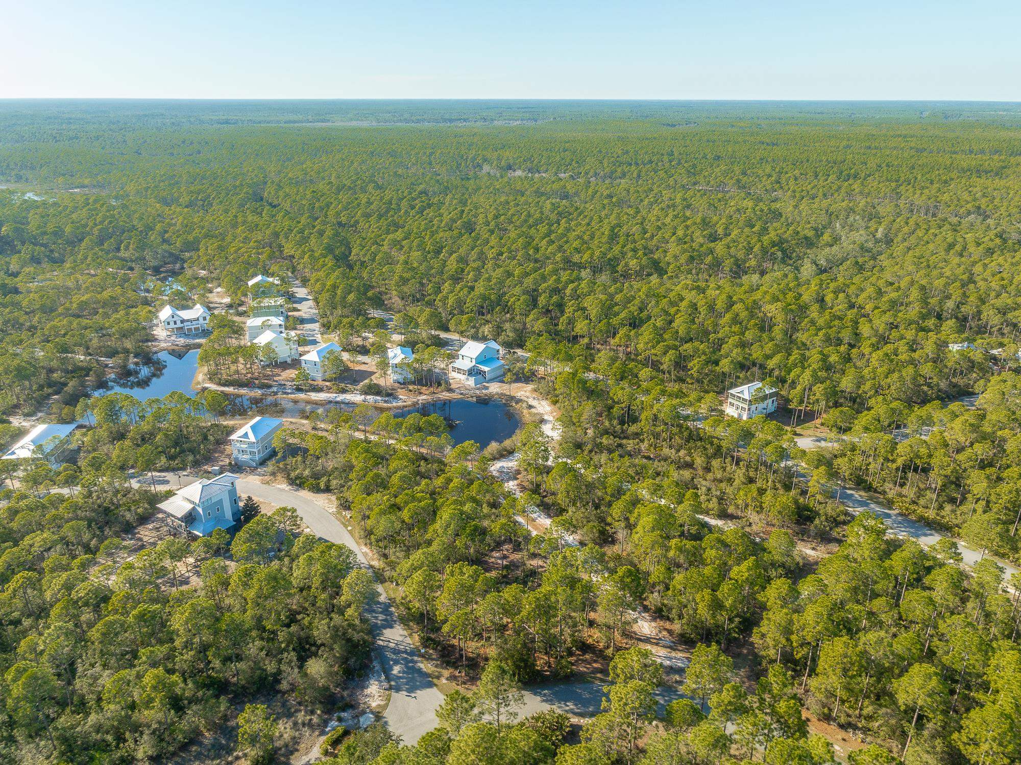 173 Lightining Bug Lane, St Teresa, Florida image 12