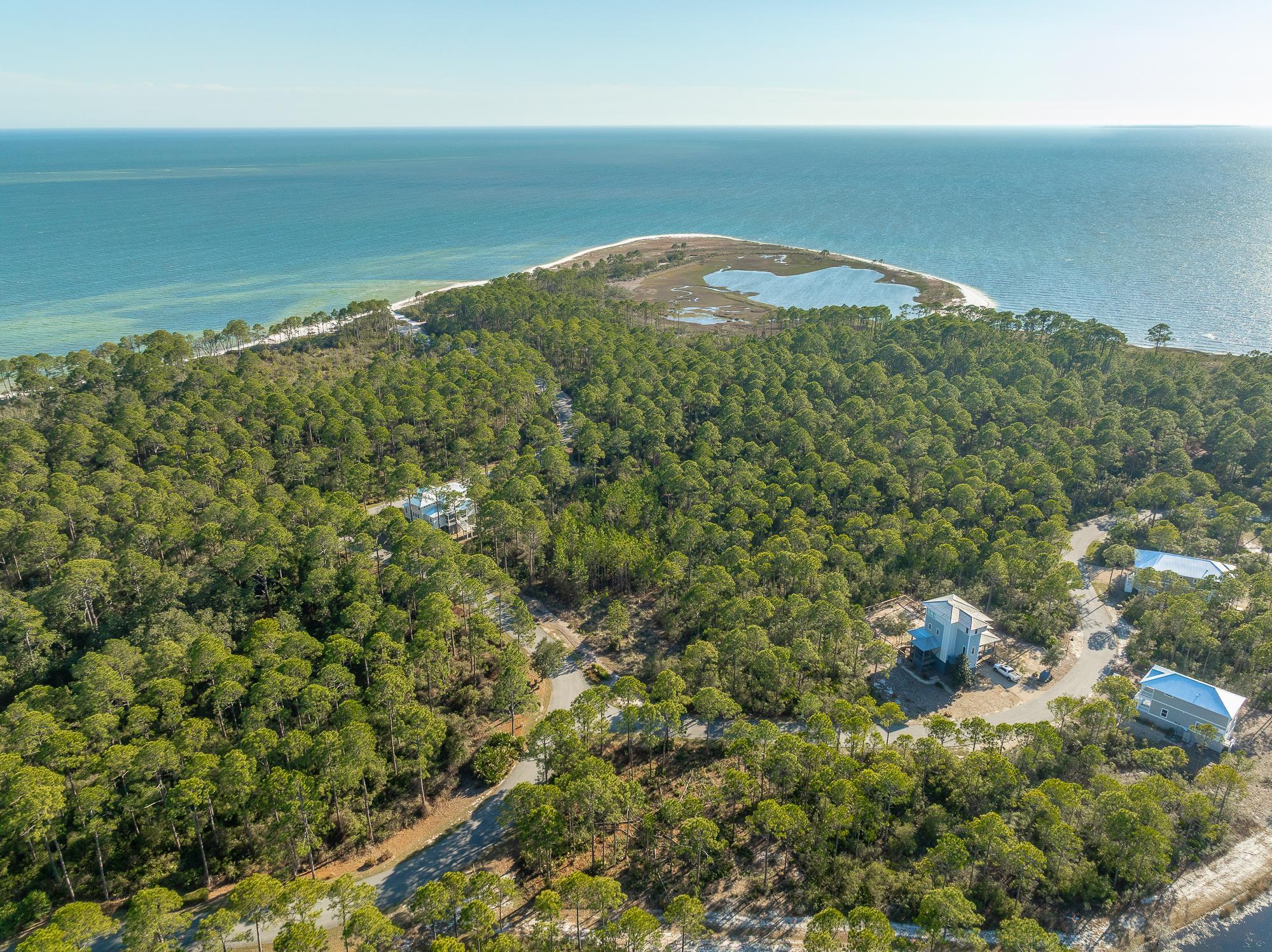 173 Lightining Bug Lane, St Teresa, Florida image 4