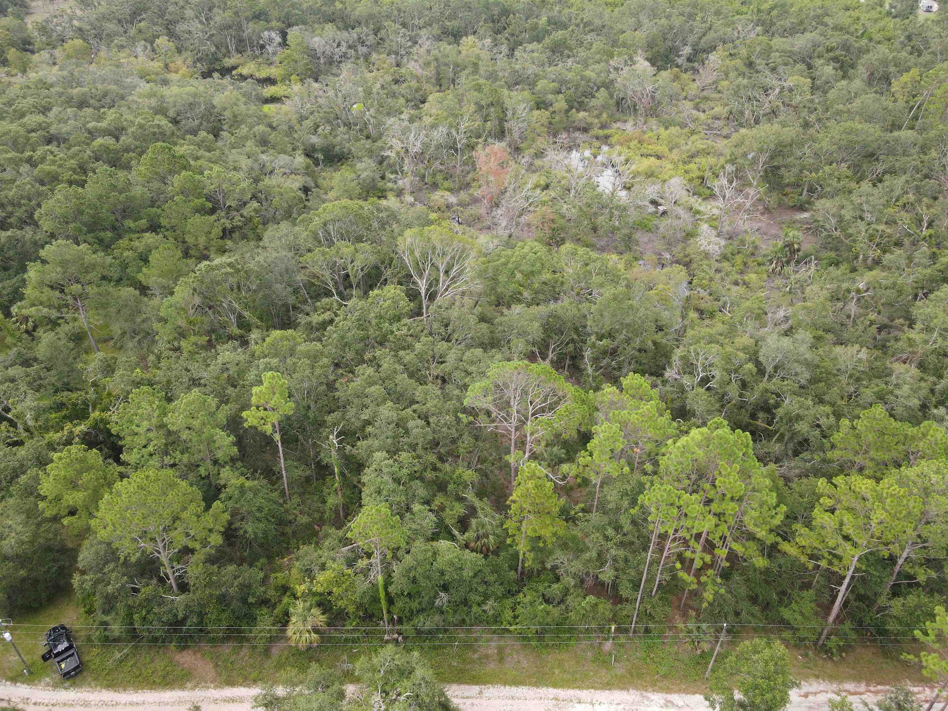 Kays Road, Perry, Florida image 1