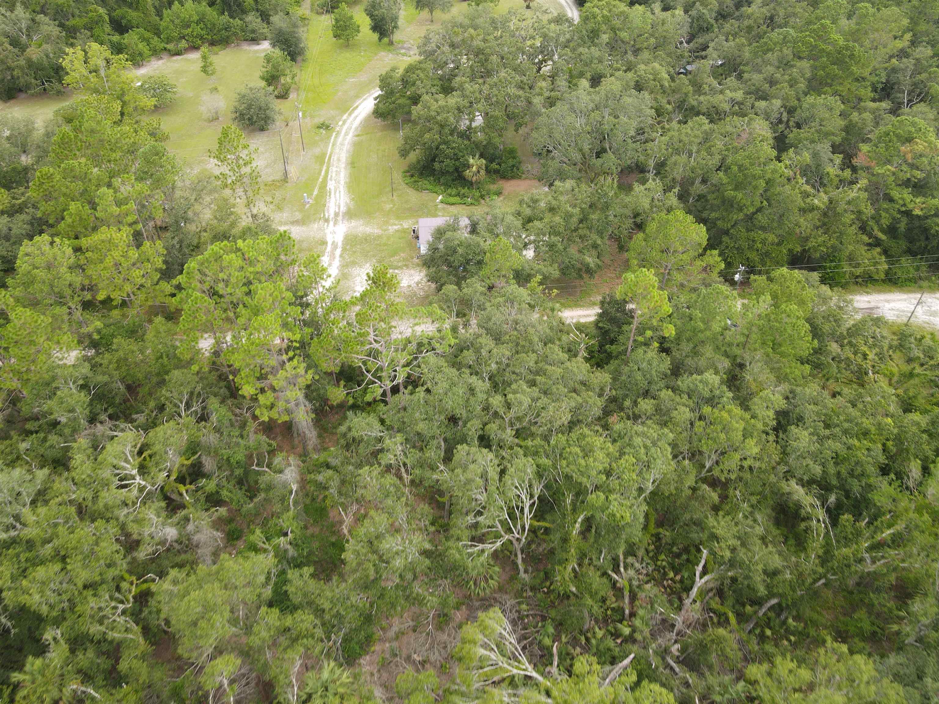 Kays Road, Perry, Florida image 14