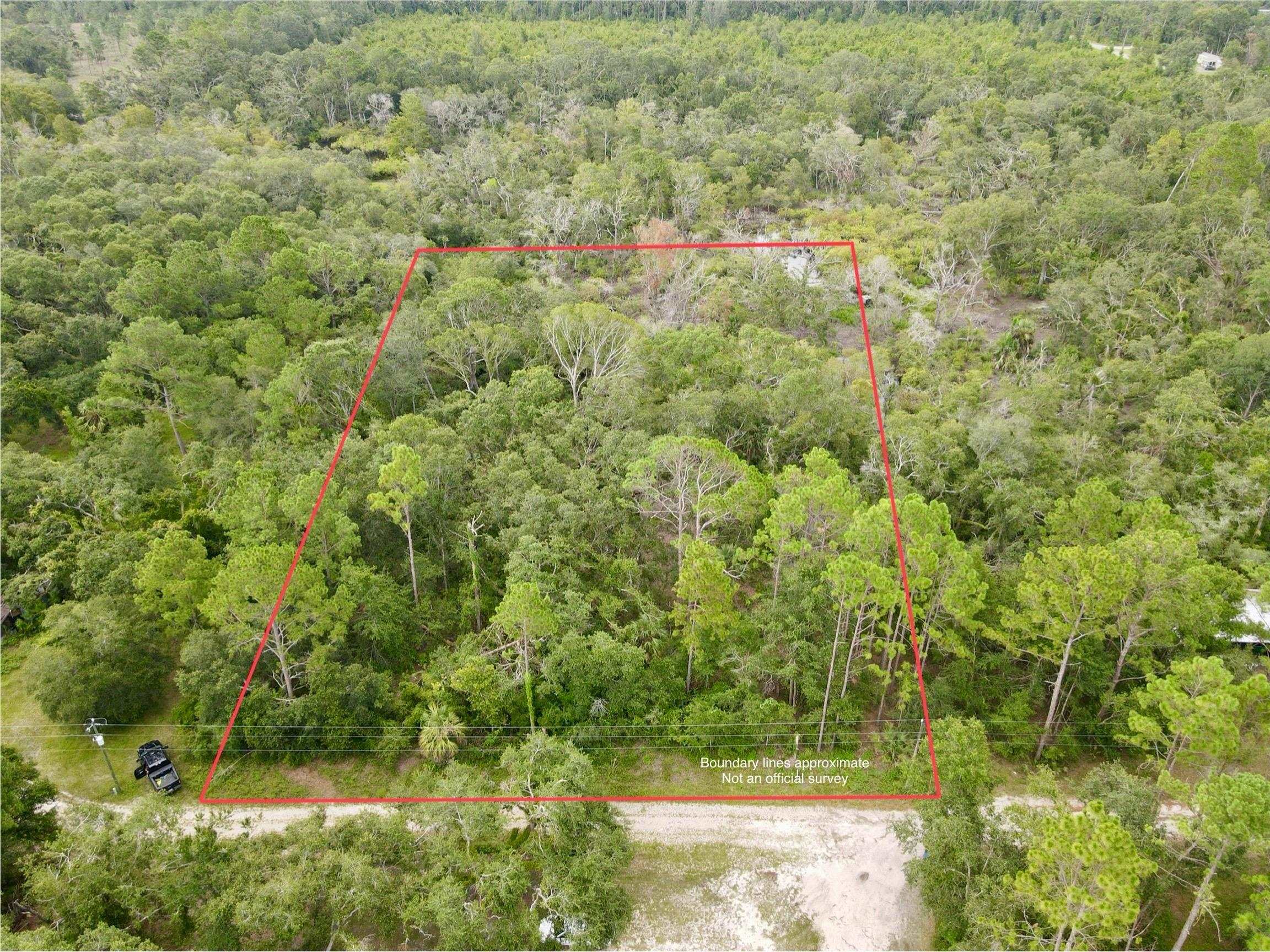 Kays Road, Perry, Florida image 2