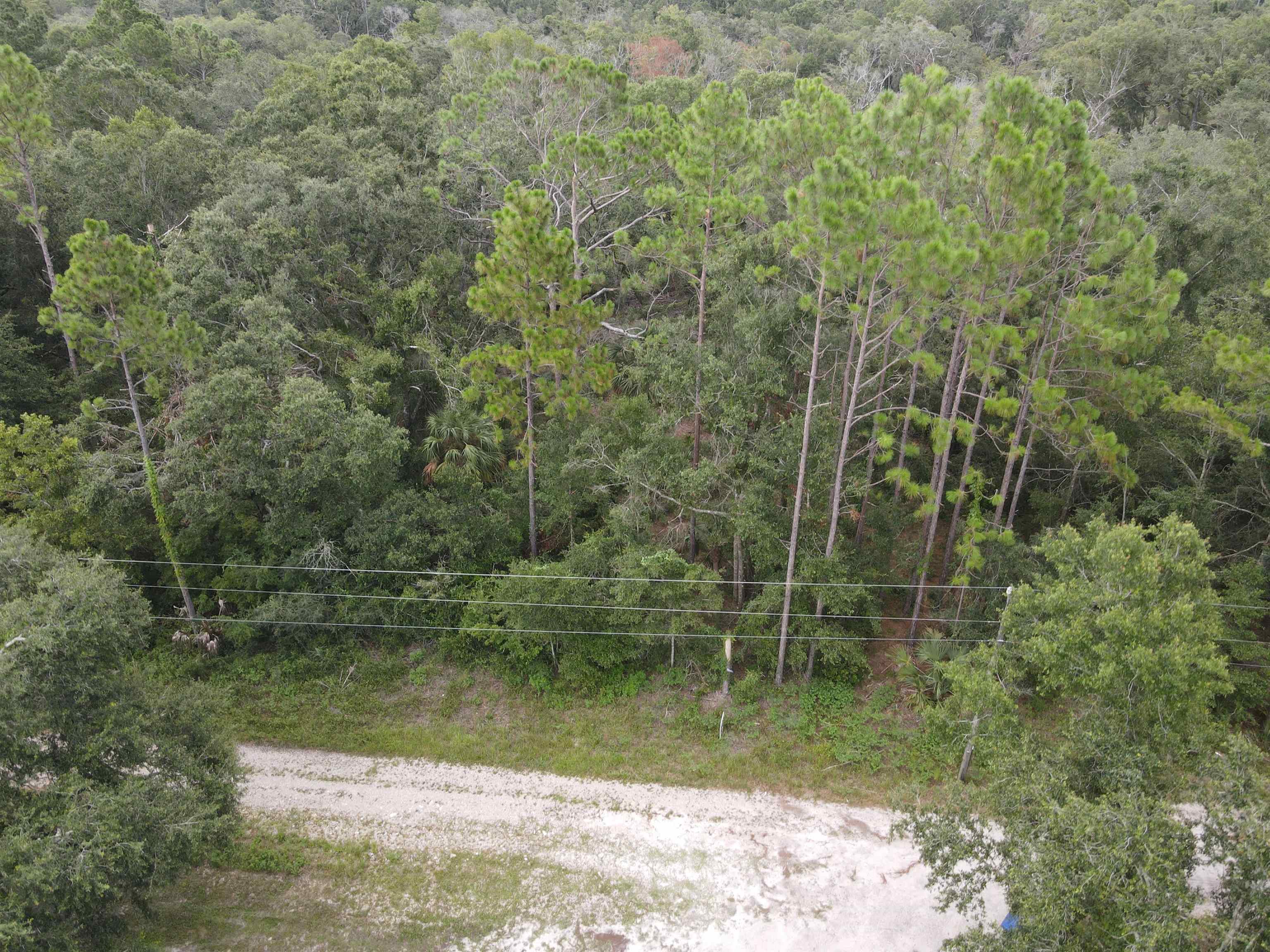 Kays Road, Perry, Florida image 21
