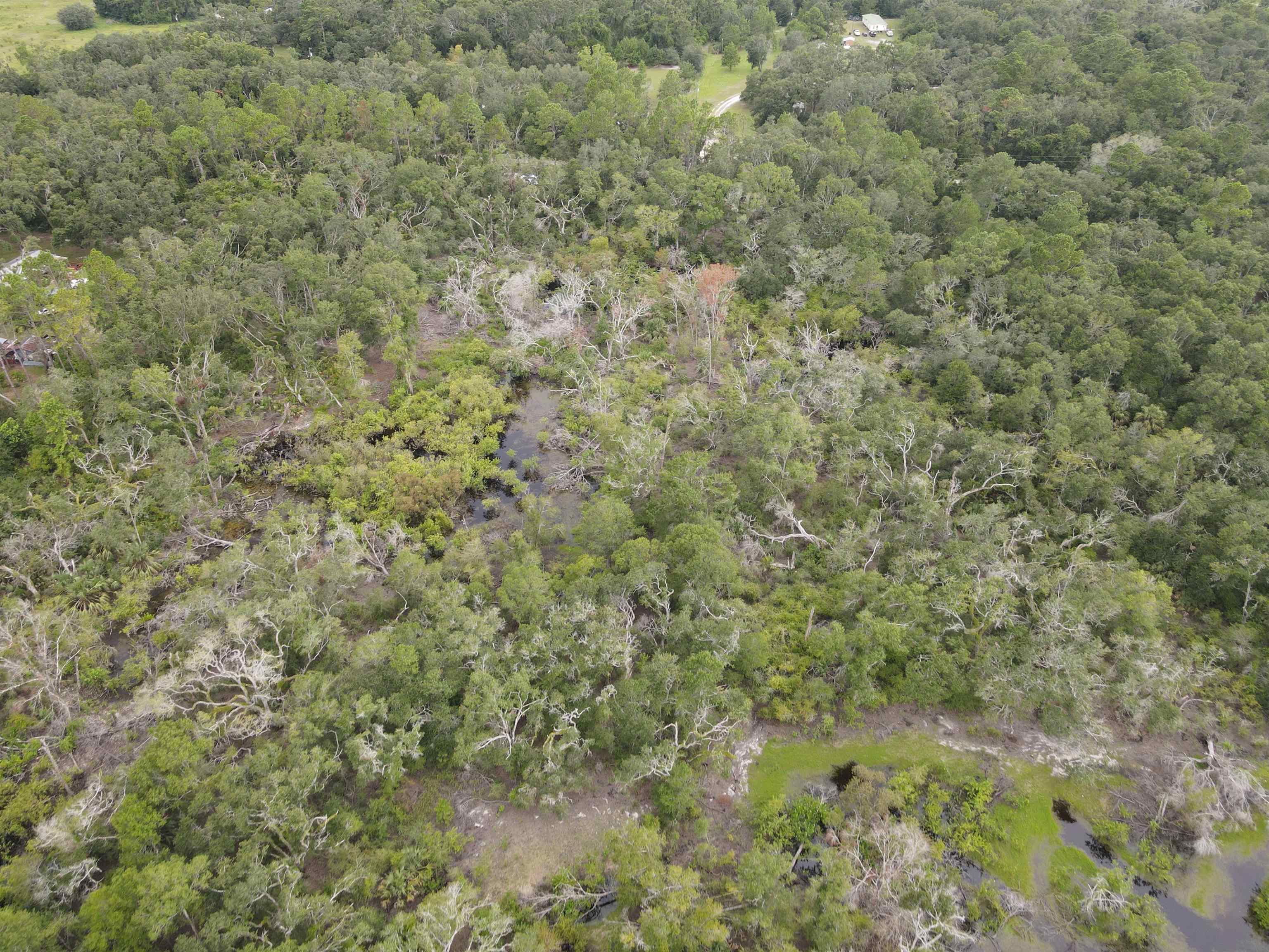 Kays Road, Perry, Florida image 8