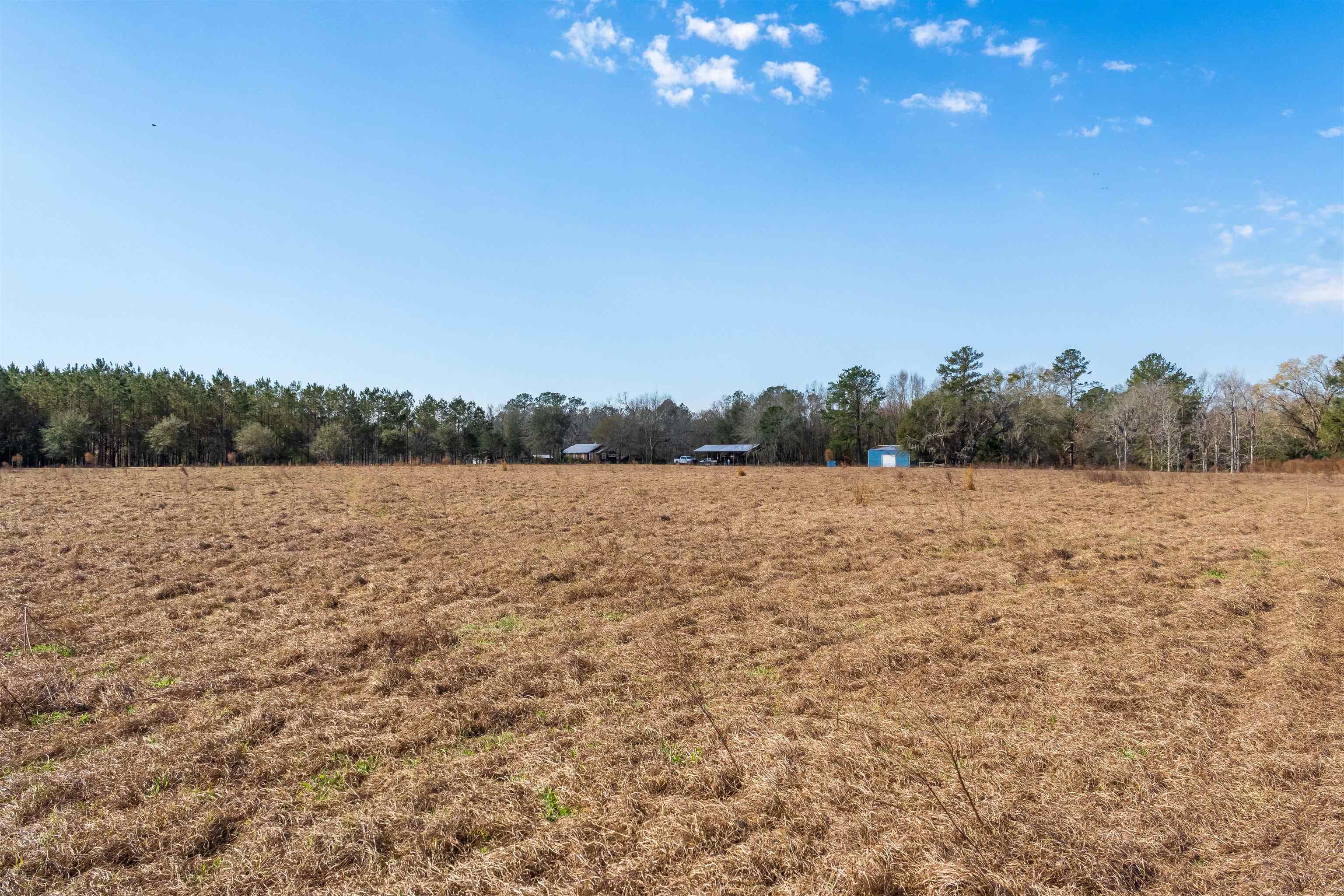 740 Kinsey Road, Monticello, Florida image 25