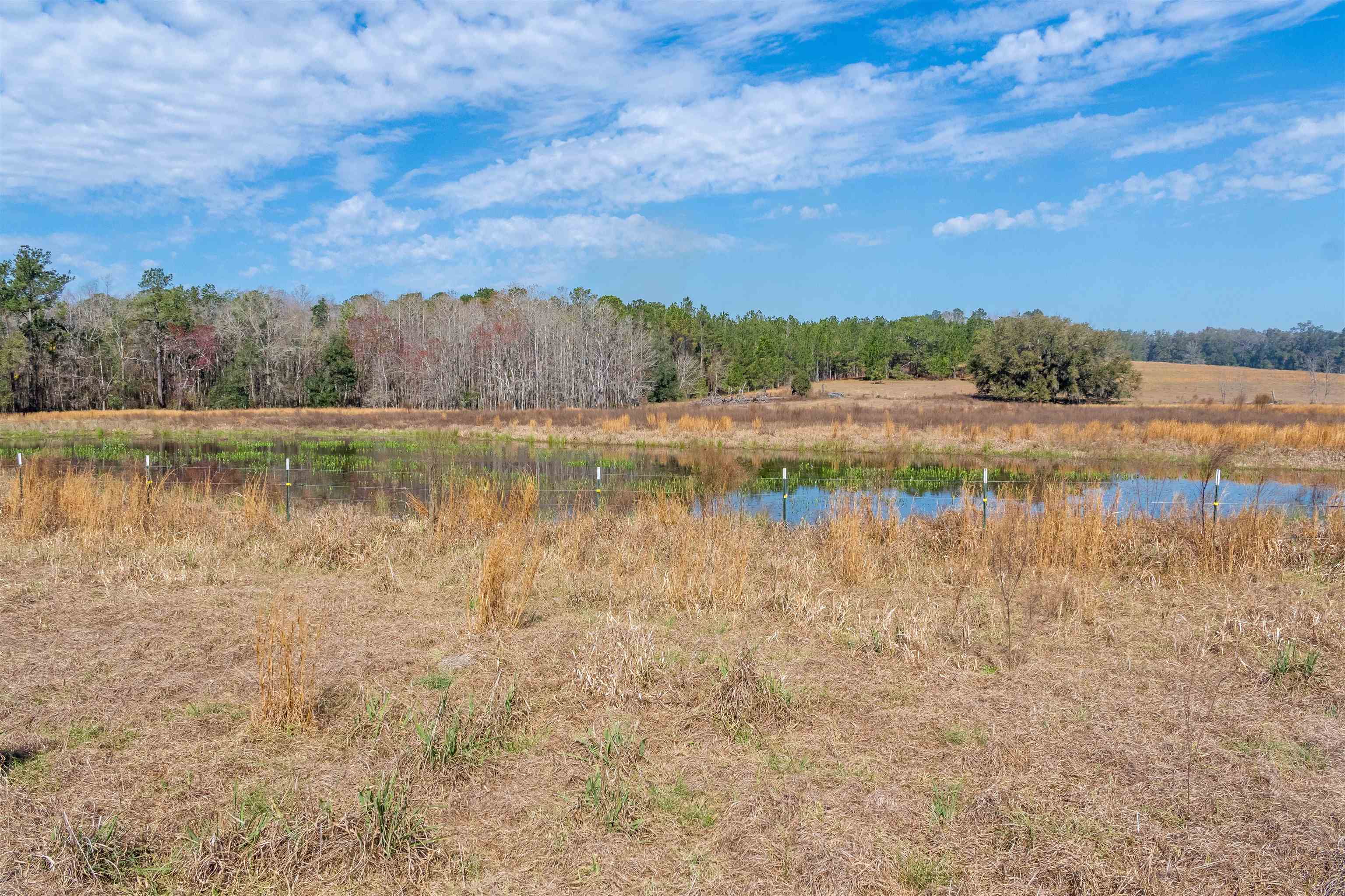 740 Kinsey Road, Monticello, Florida image 26