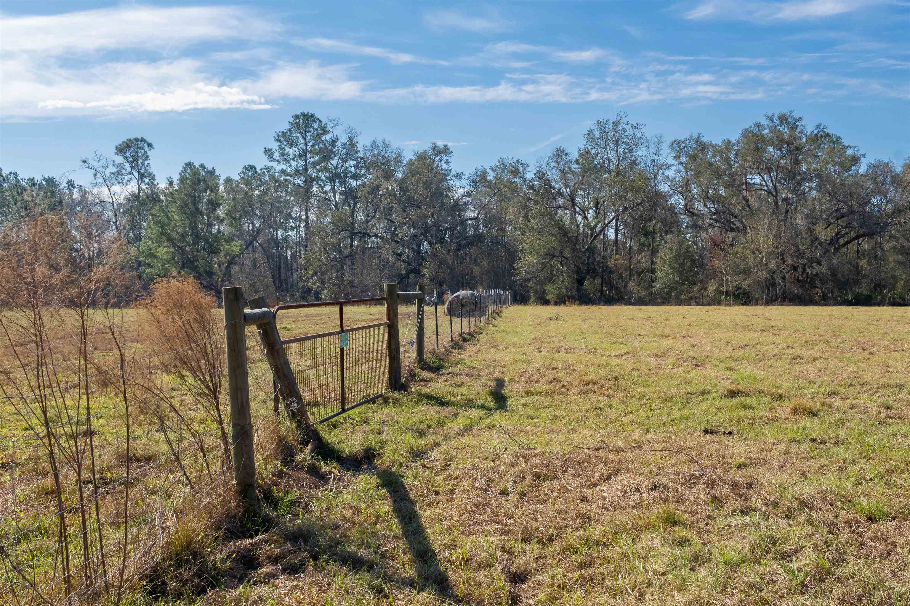 740 Kinsey Road, Monticello, Florida image 27