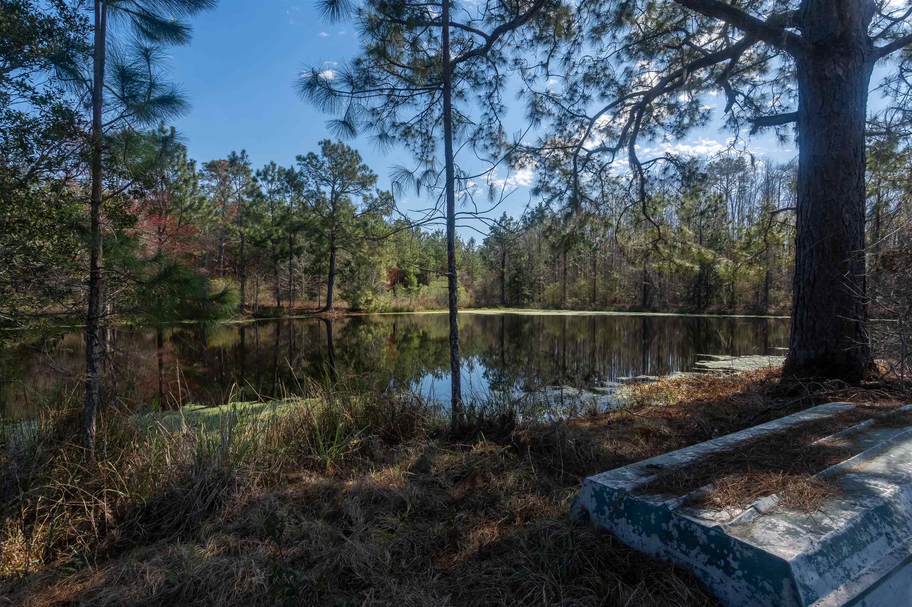 740 Kinsey Road, Monticello, Florida image 29