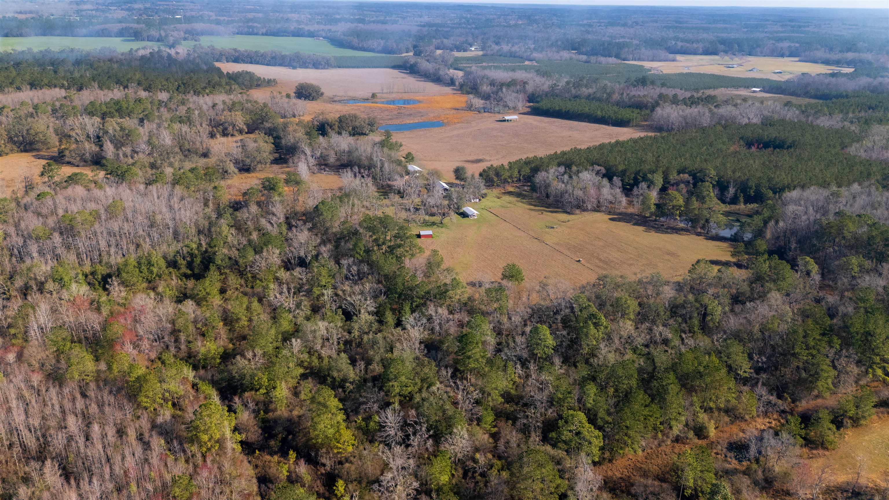 740 Kinsey Road, Monticello, Florida image 38