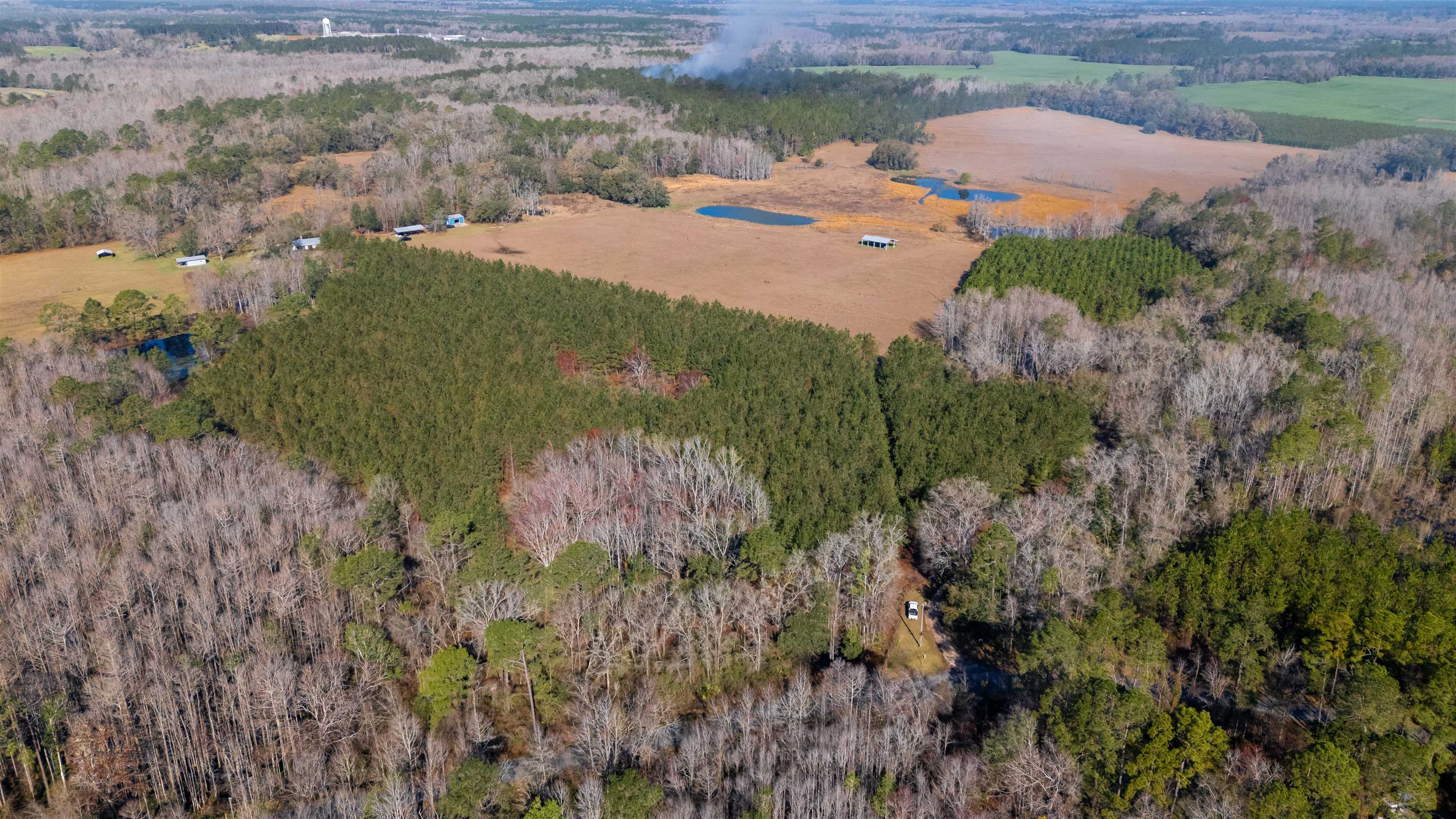 740 Kinsey Road, Monticello, Florida image 39