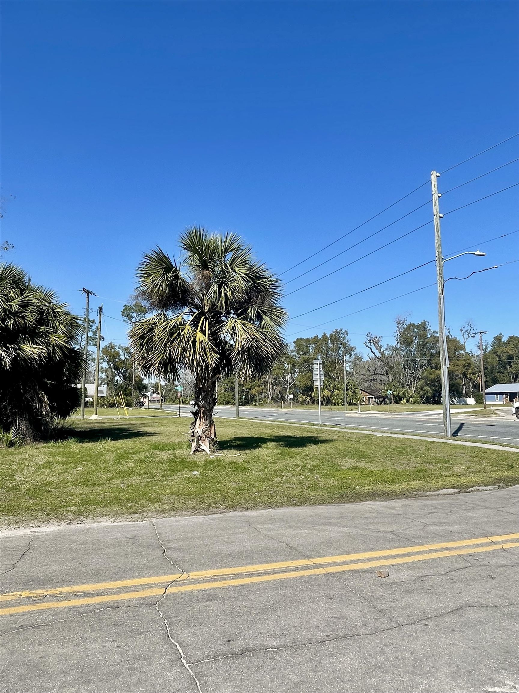 607 S Us 19, Perry, Florida image 3