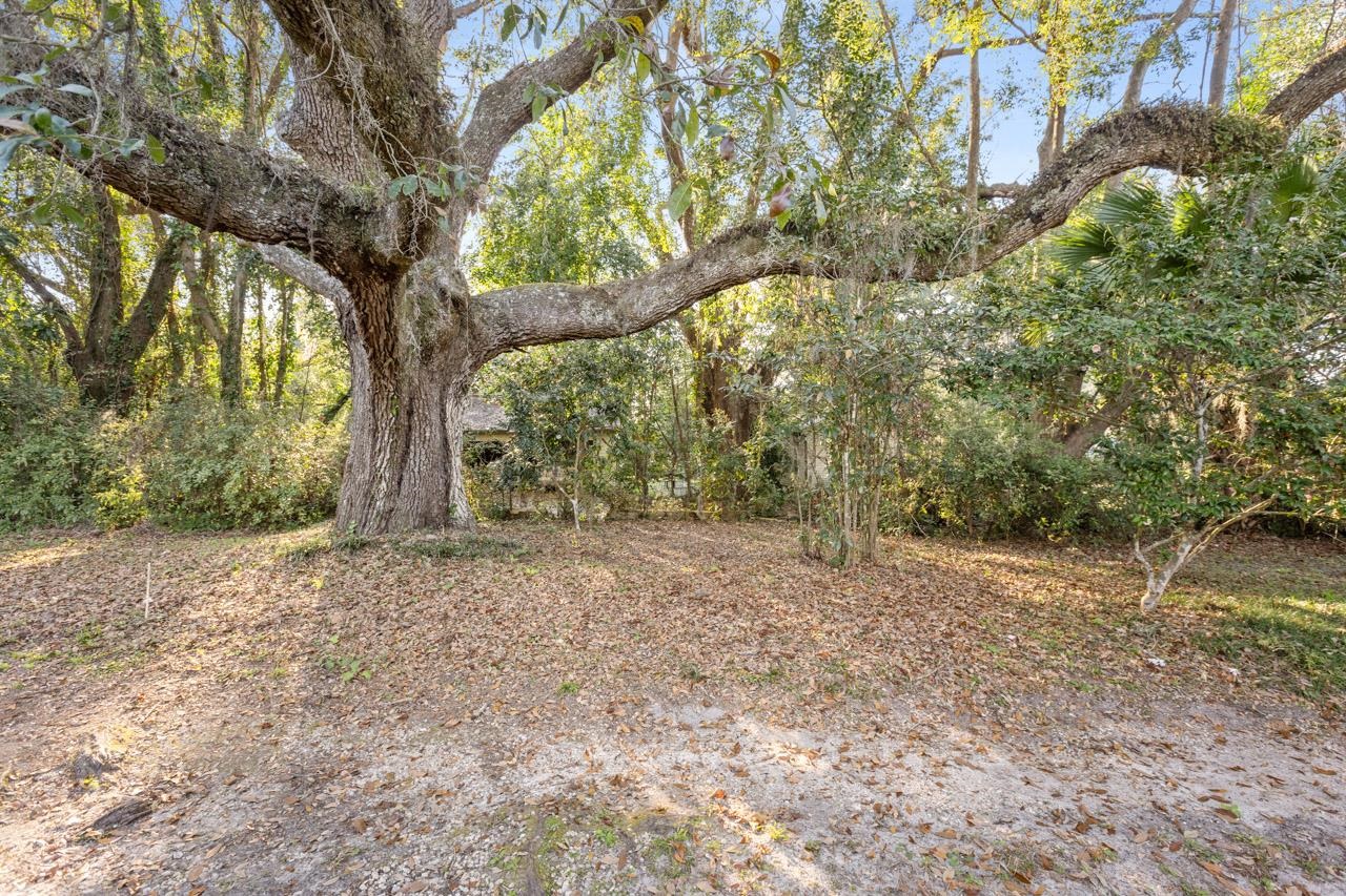 665 W Washington Street, Monticello, Florida image 40