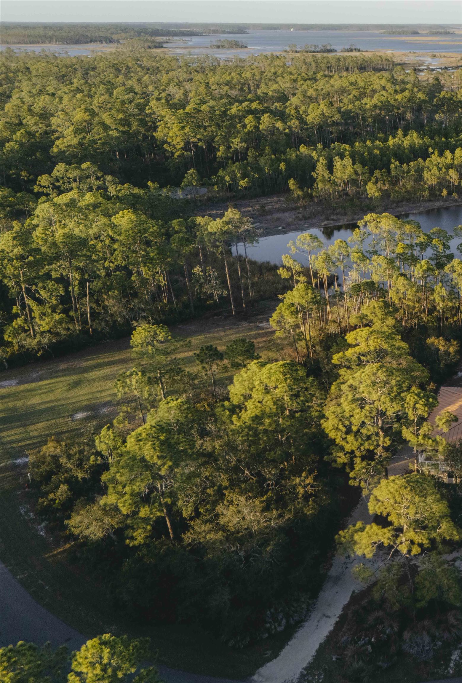* Turtle Creek Lane, Panacea, Florida image 2