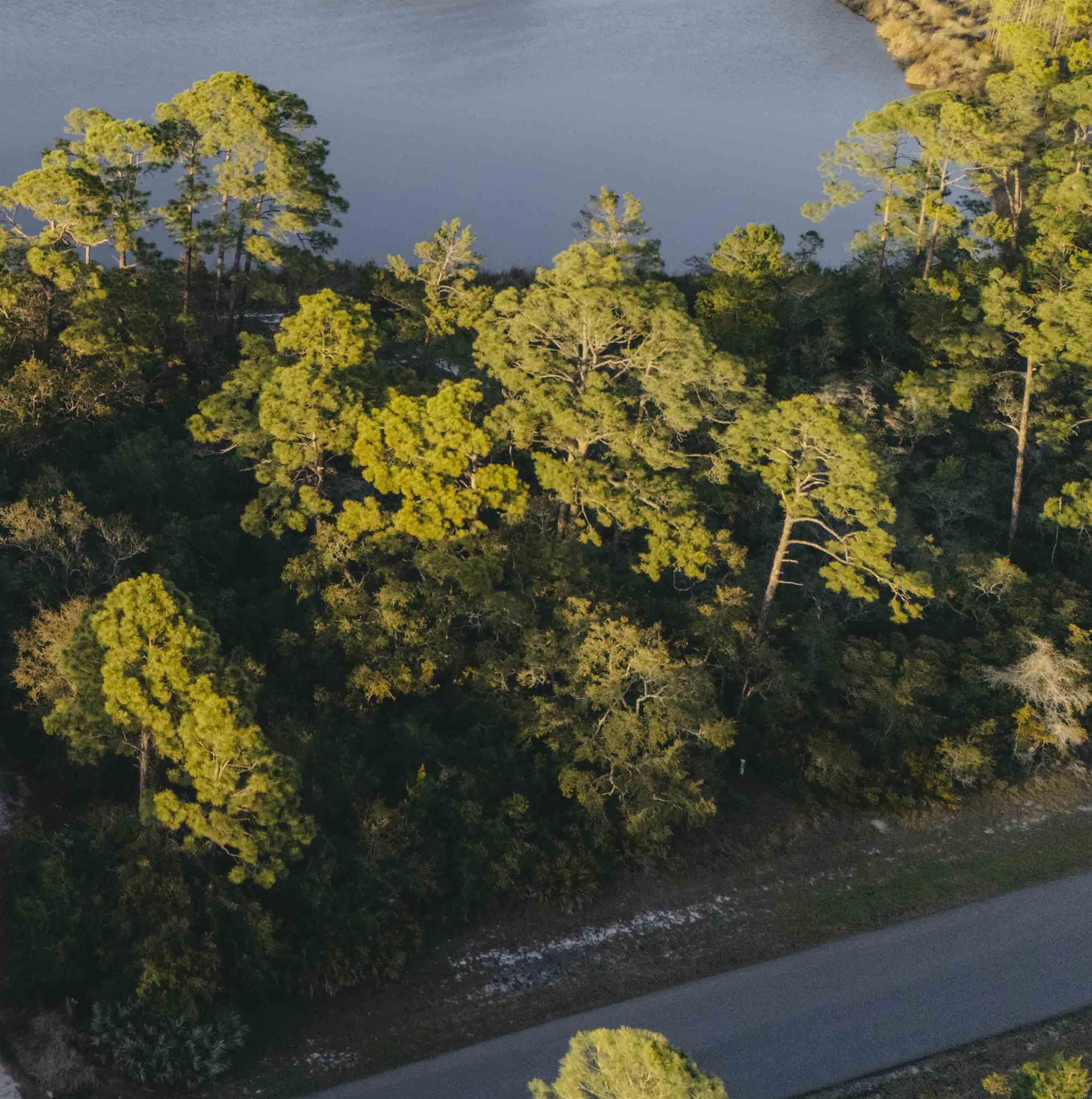 * Turtle Creek Lane, Panacea, Florida image 3