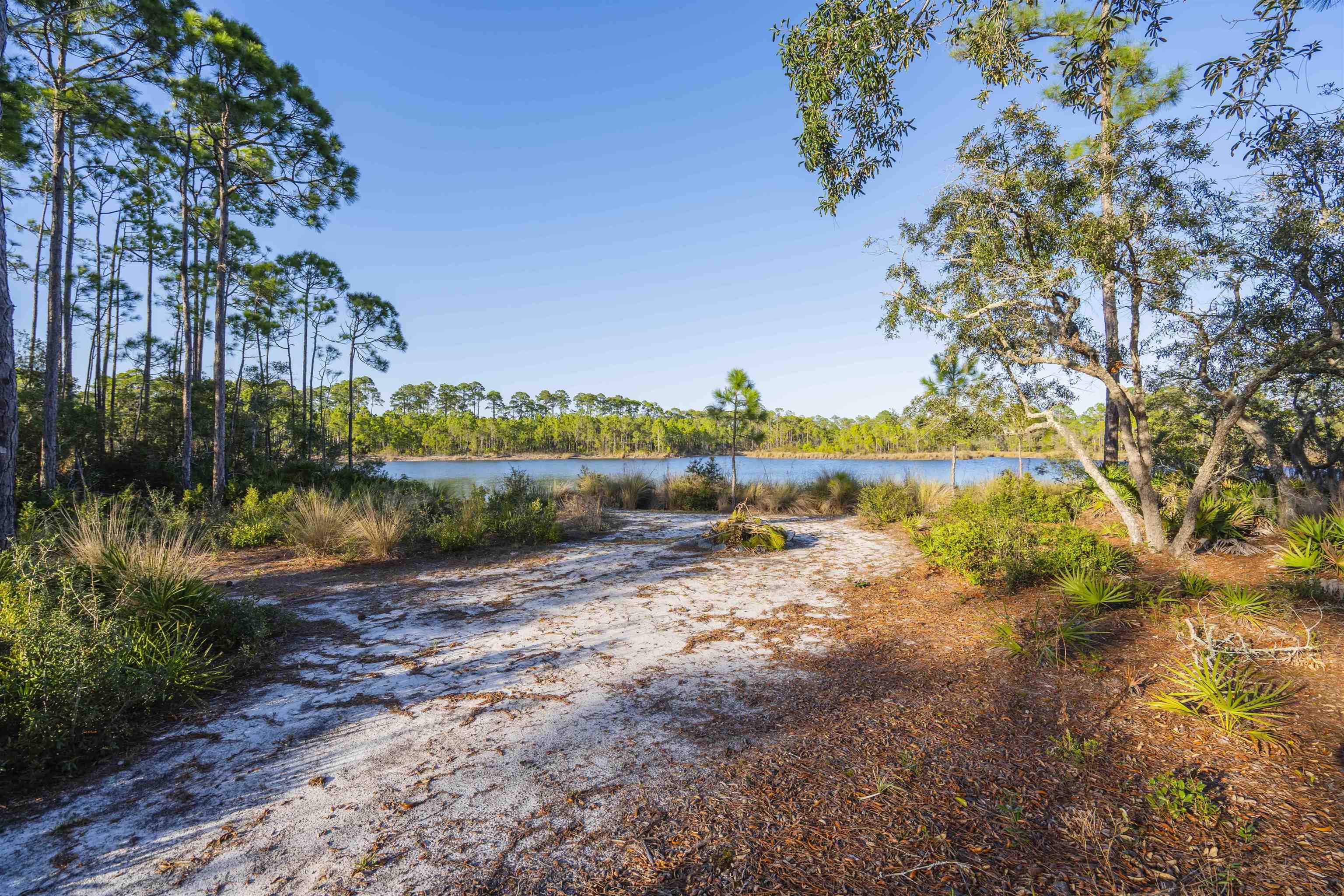 * Turtle Creek Lane, Panacea, Florida image 4