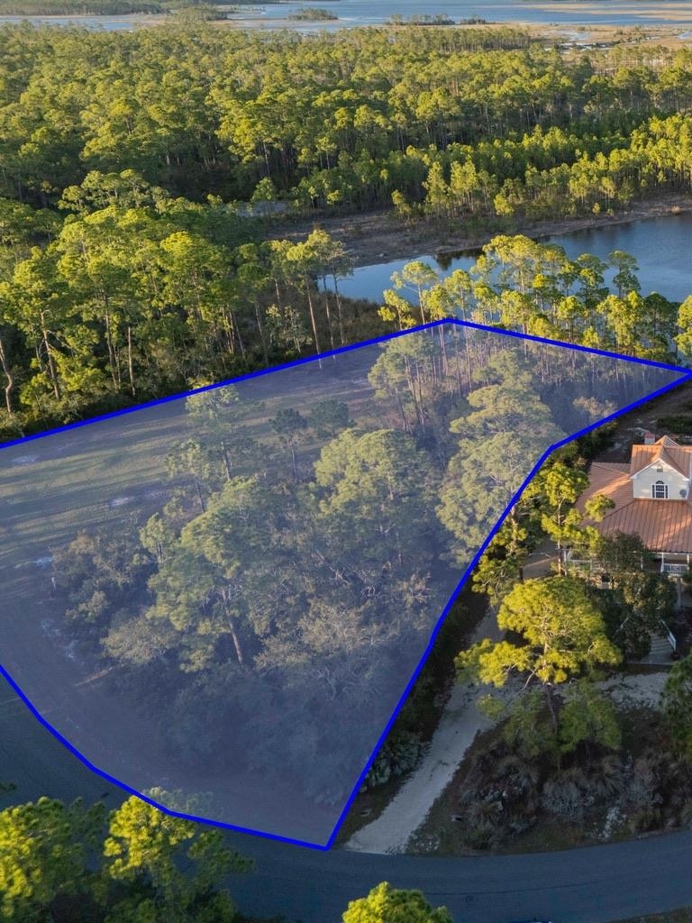 * Turtle Creek Lane, Panacea, Florida image 8