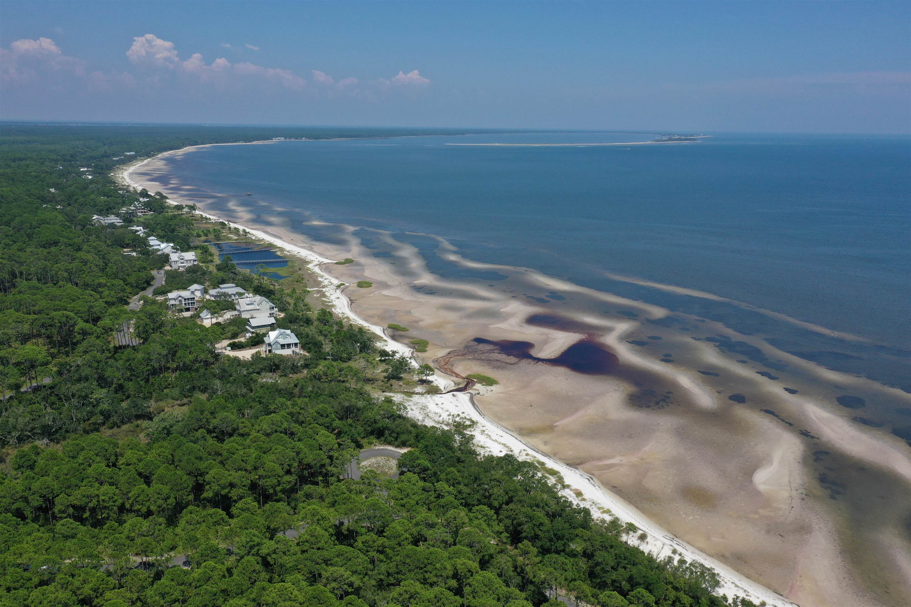 3496 Firefly Circle #LOT 161 - WEST, St Teresa, Florida image 4