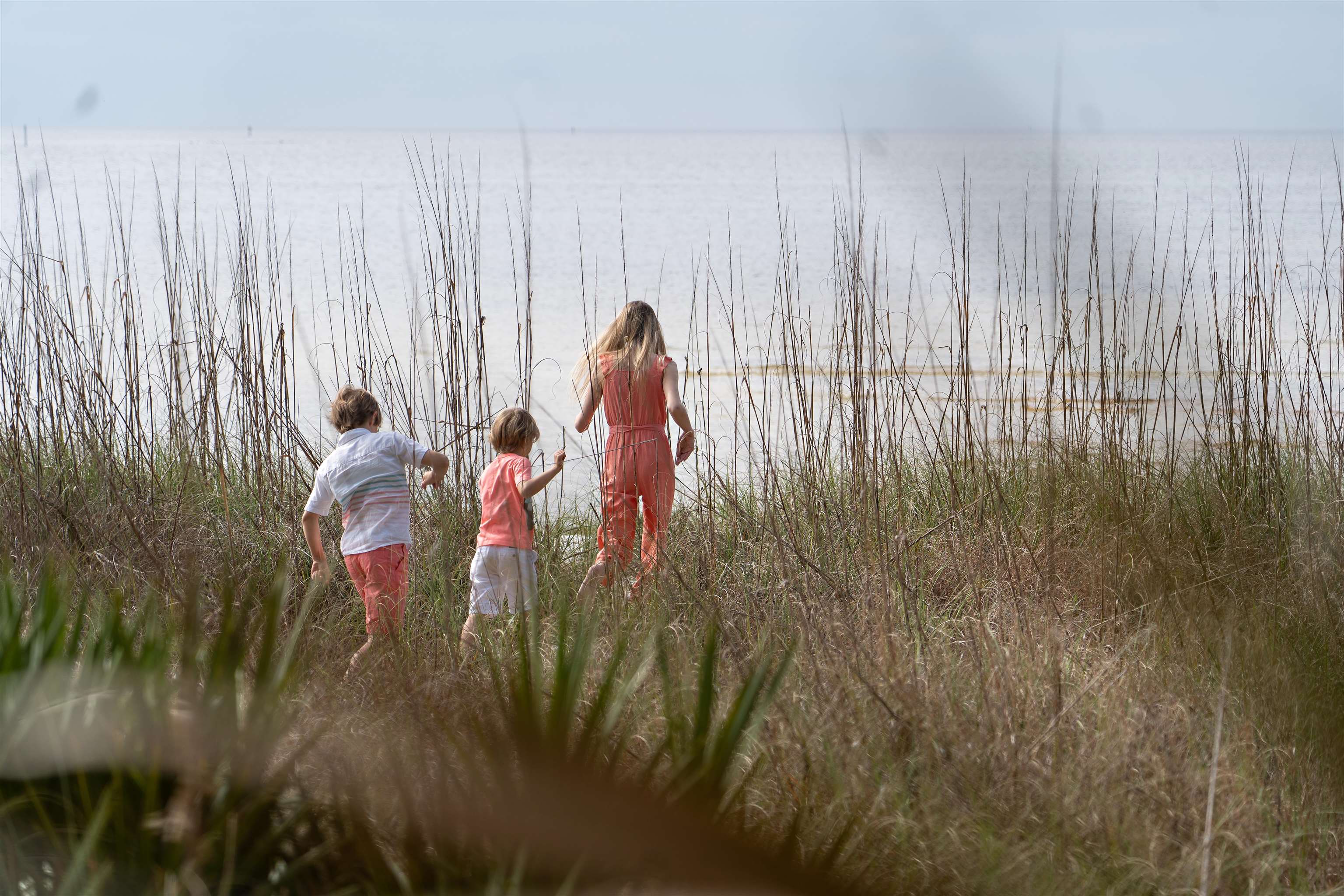 3496 Firefly Circle #LOT 161 - WEST, St Teresa, Florida image 9