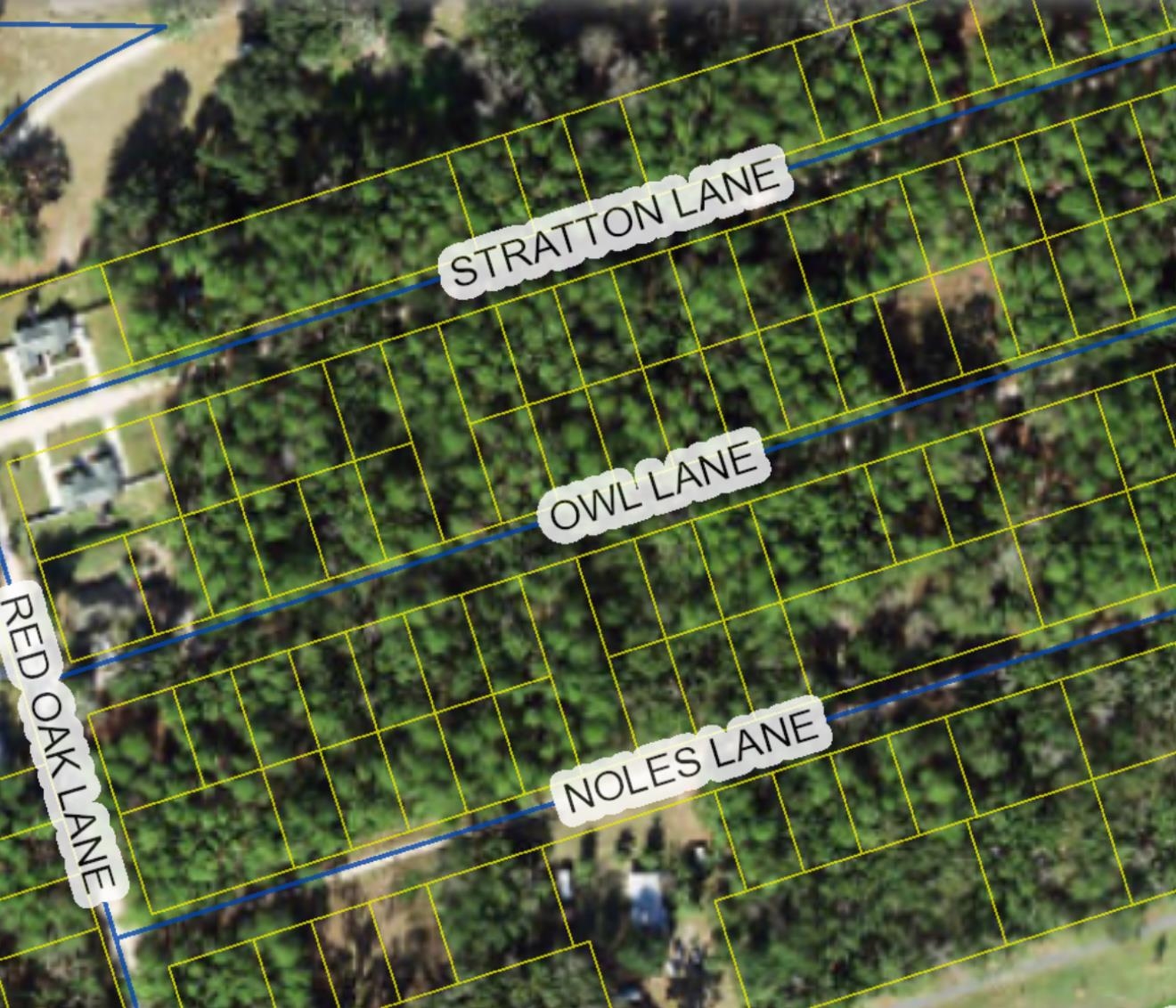 XX Owl Lane, Crawfordville, Florida image 1