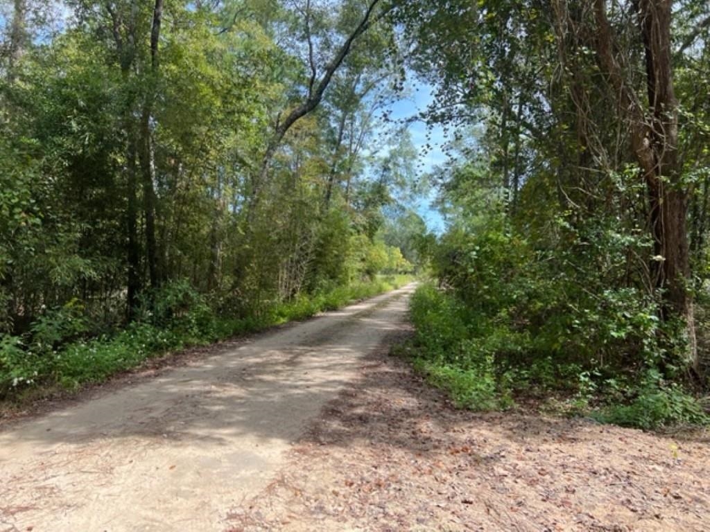 98 Cox Road, Monticello, Florida image 16