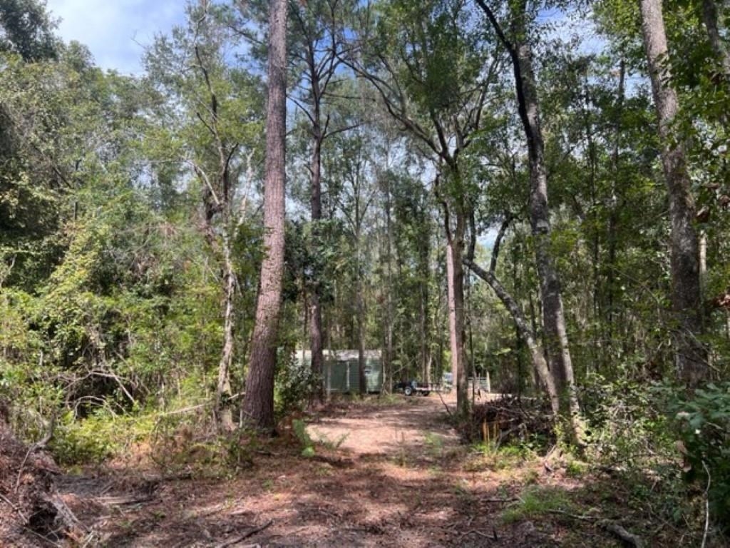 98 Cox Road, Monticello, Florida image 6